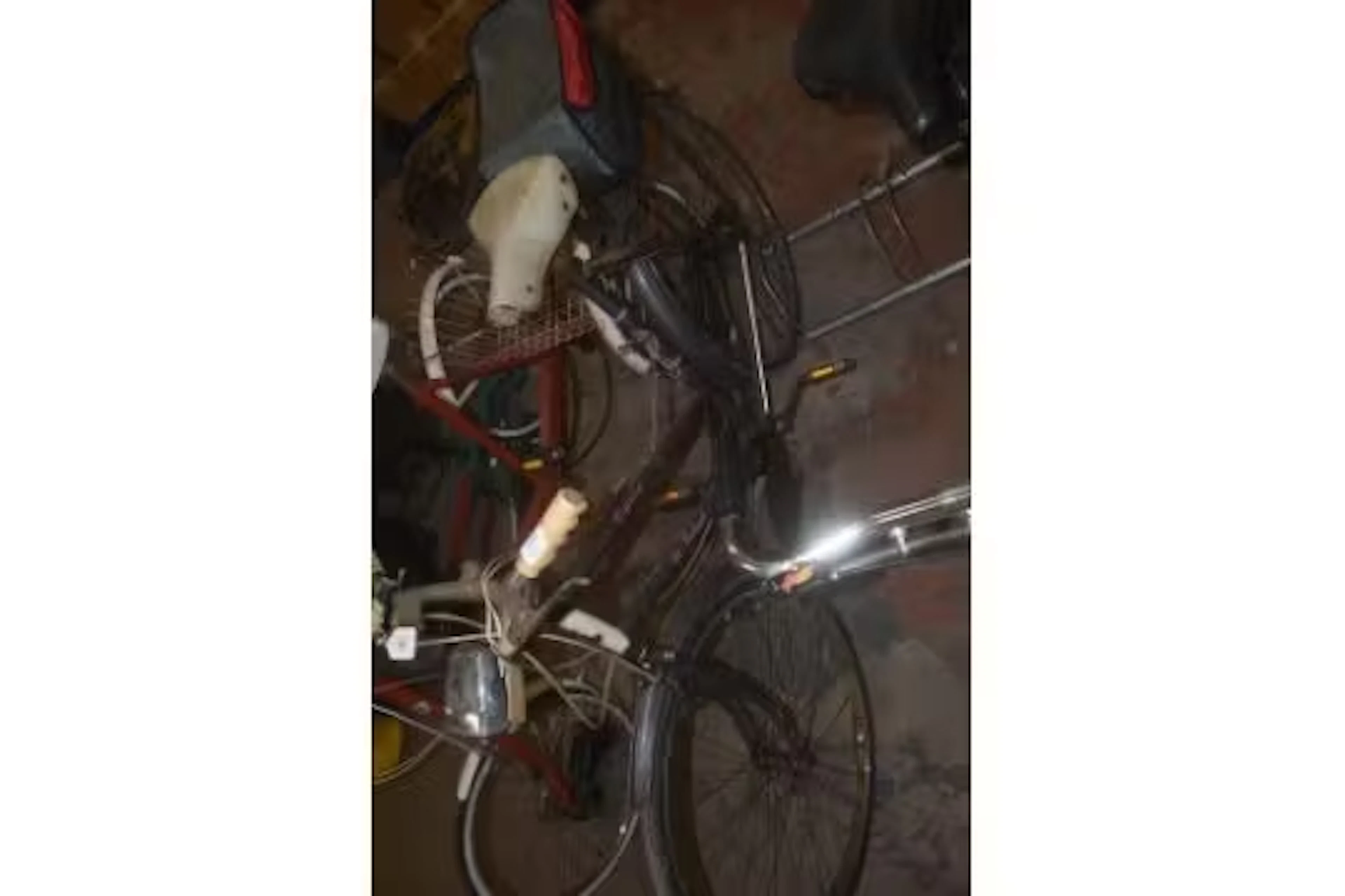 *Raleigh Bicycle