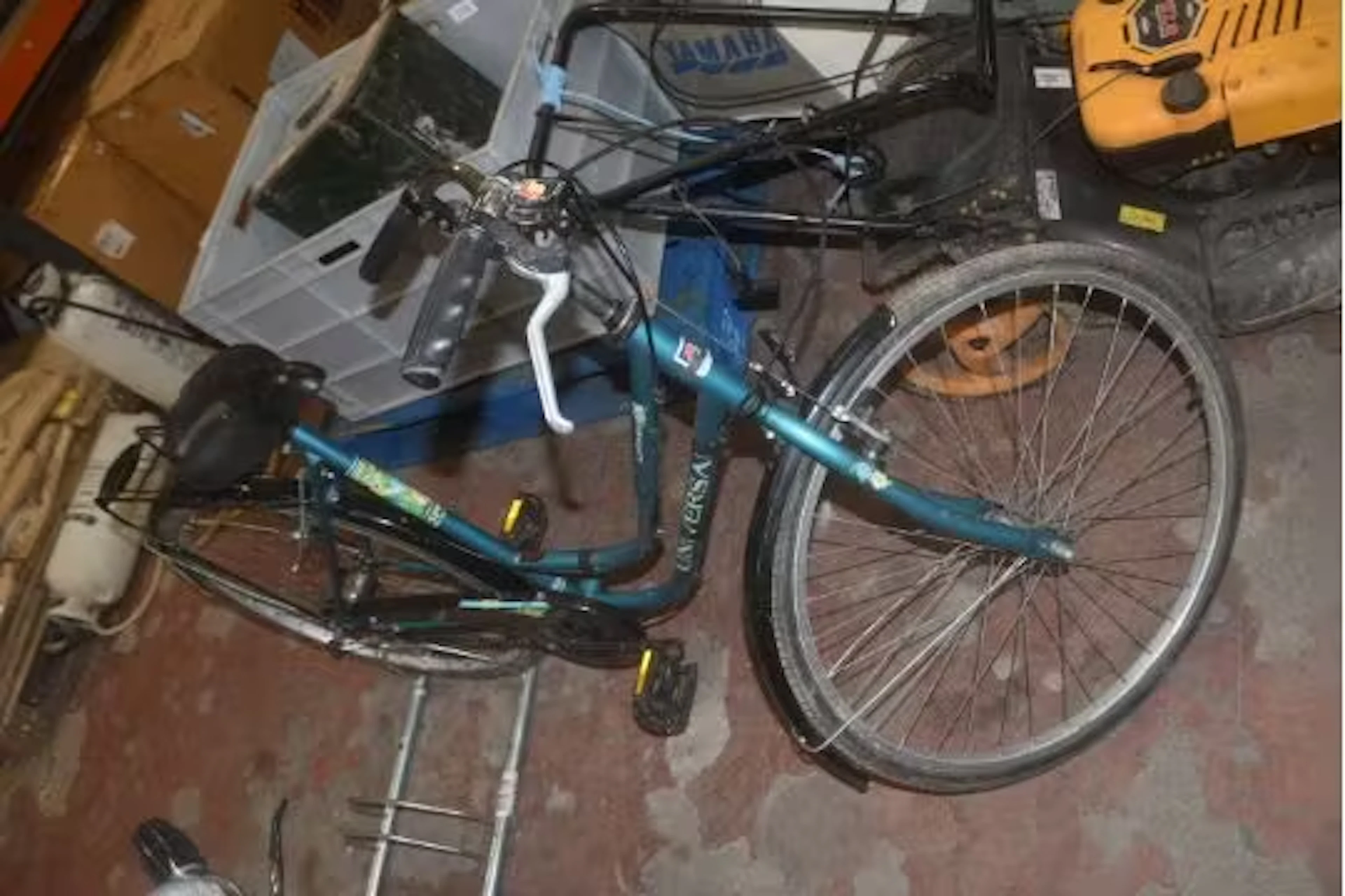 *Lariviera Bicycle