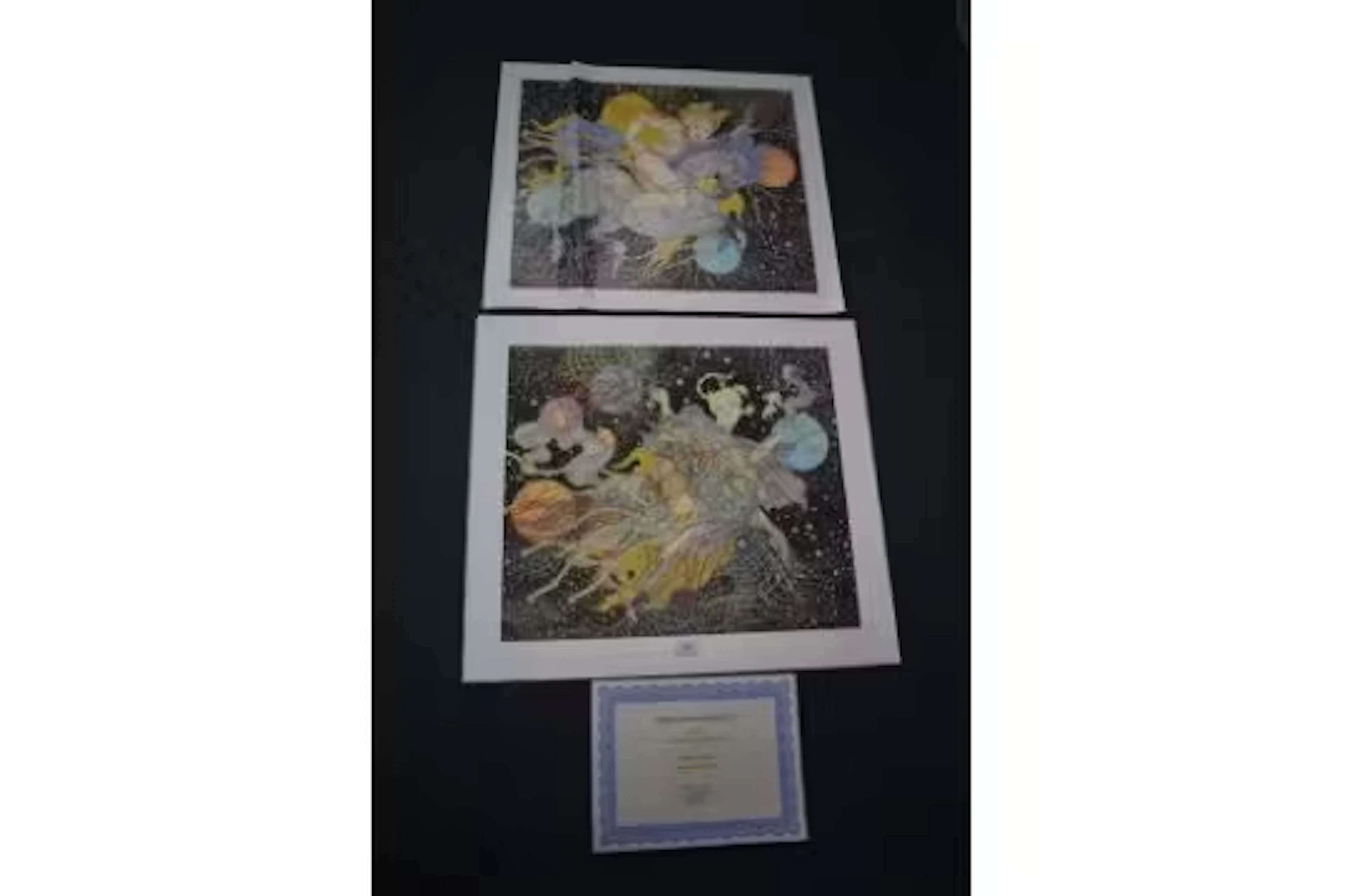 Two mixed media on canvas prints by Guillaume Azou