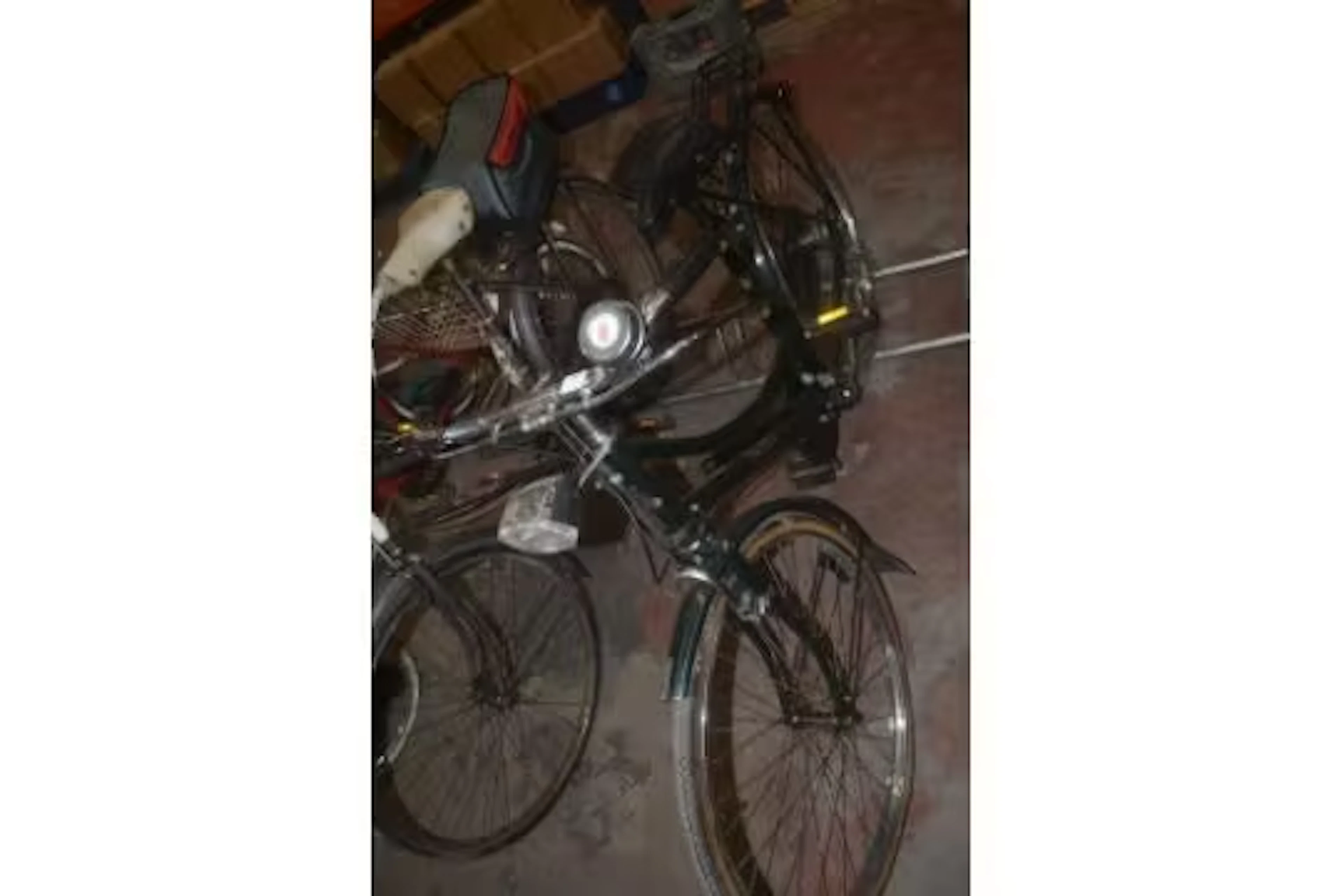 *Raleigh Bicycle