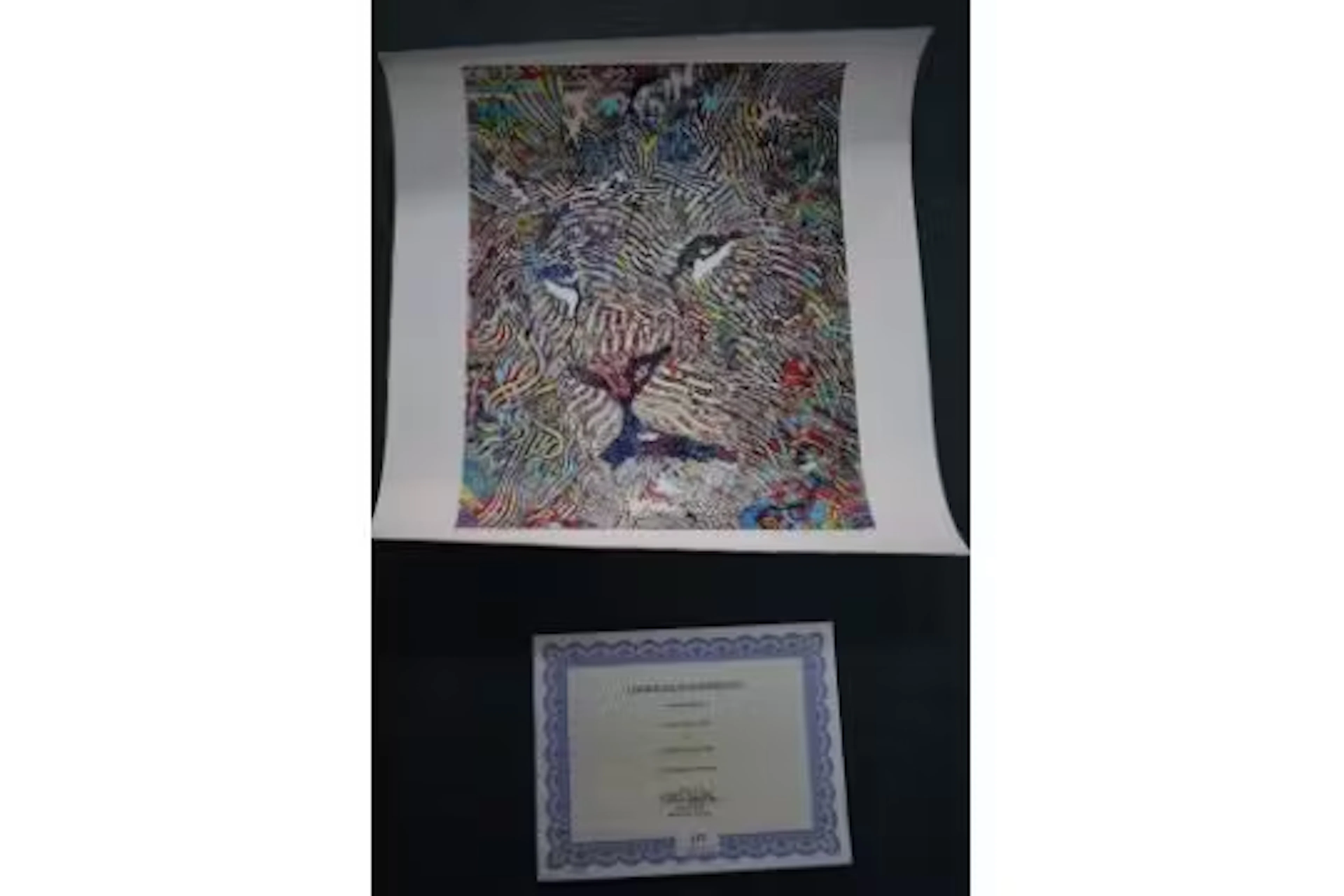'Post Fauvism' a limited edition by Giclee by Guil
