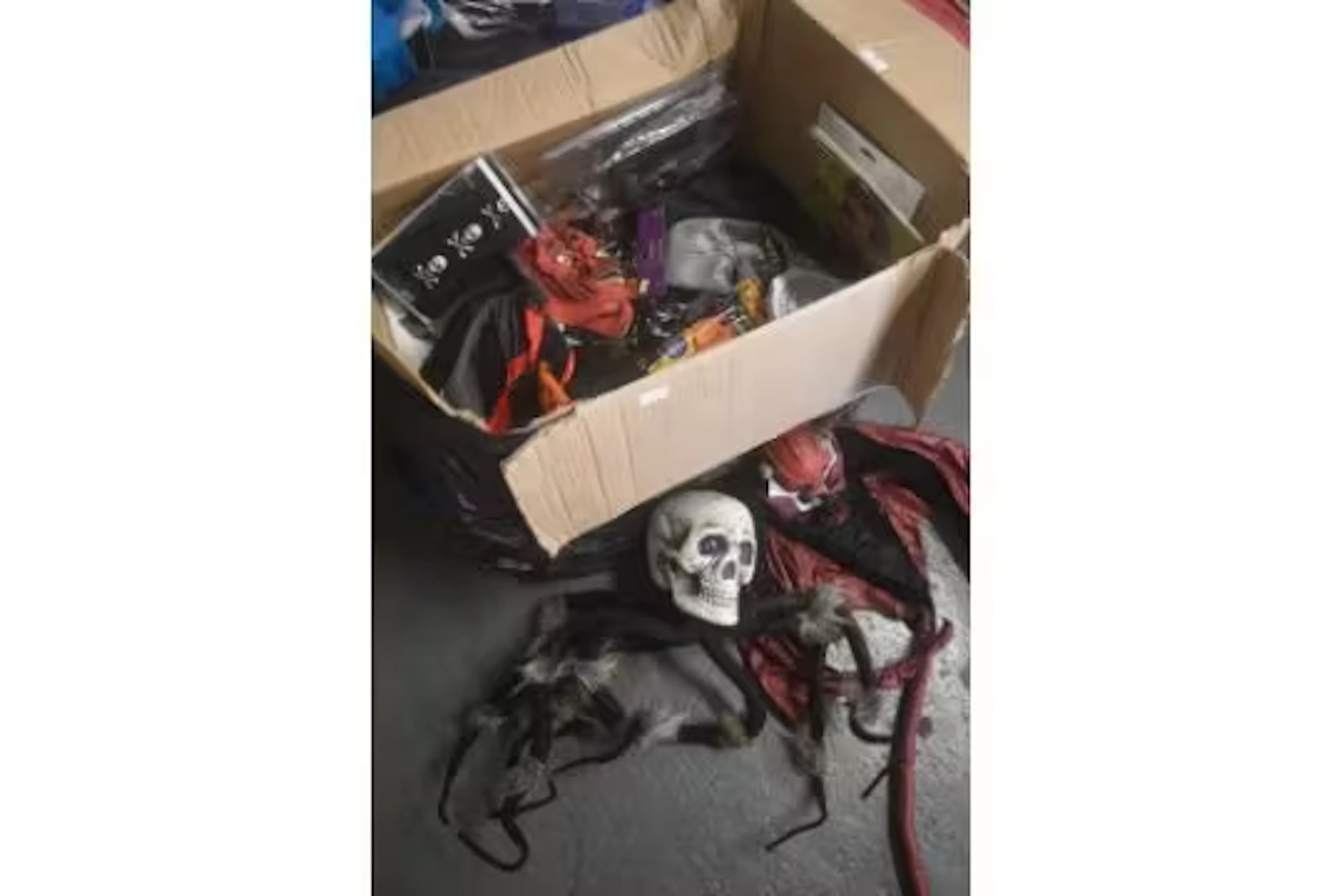 Assortment of Halloween Props and Werewolf Costume (some items AF)