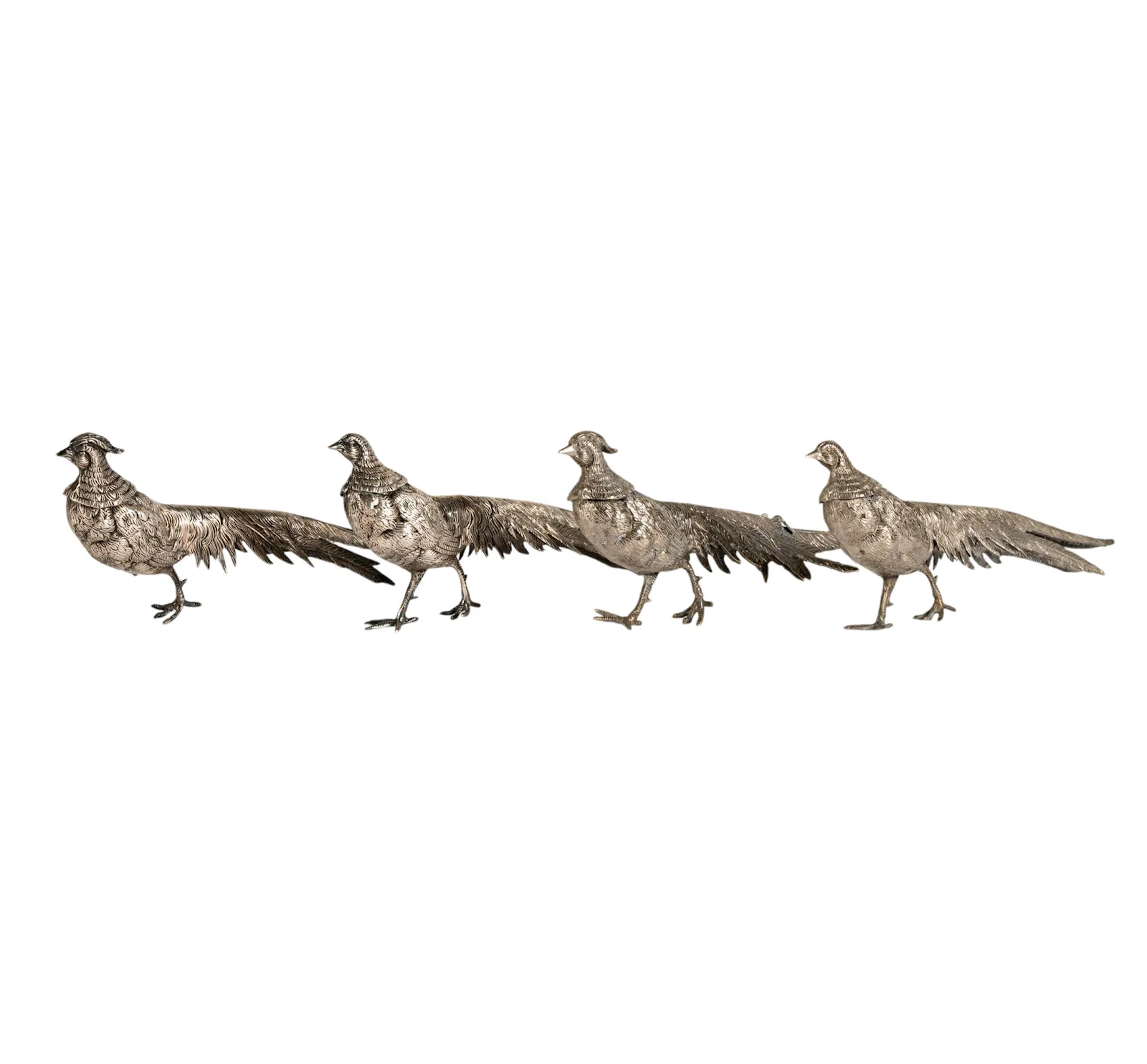 Four Silvered Pheasants