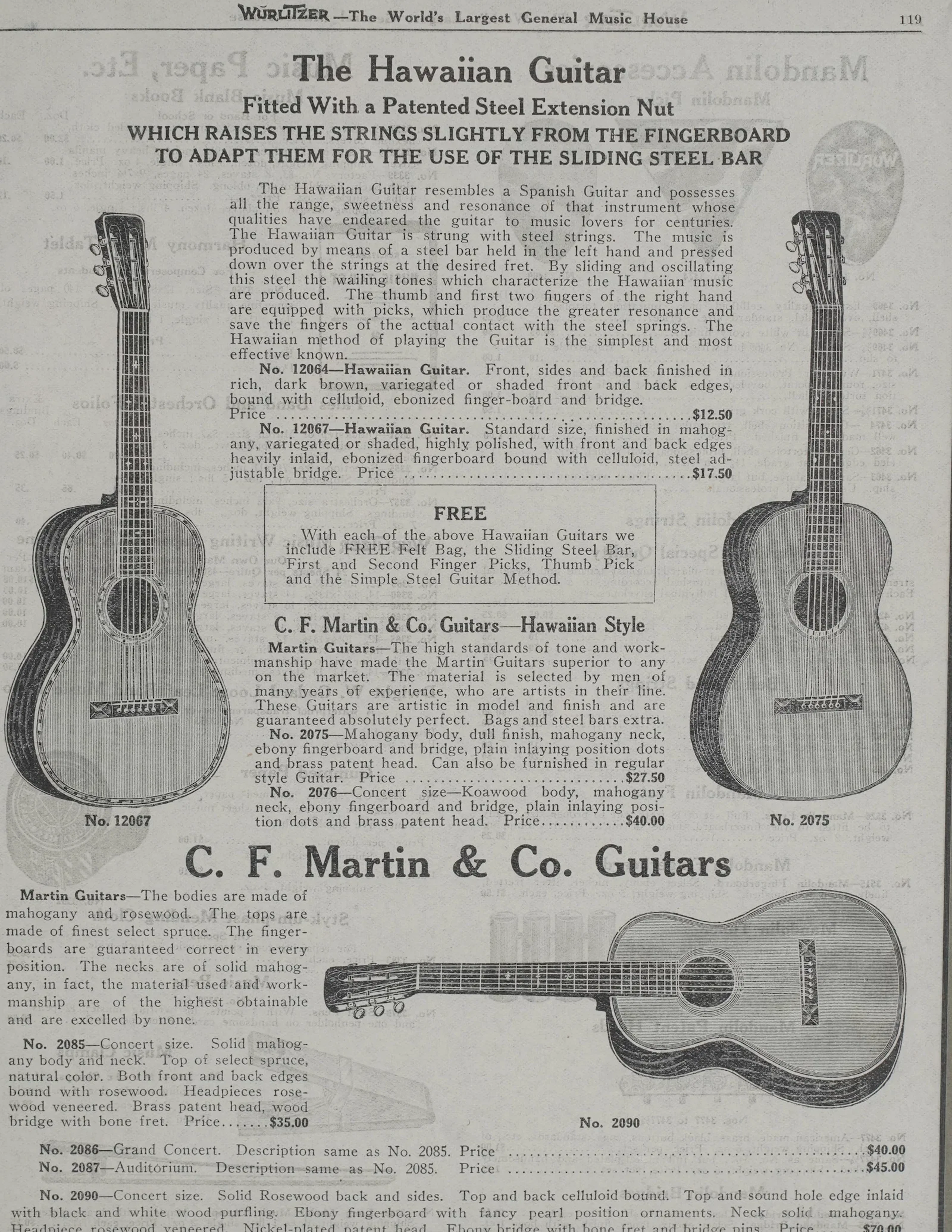 The Hawaiian Guitar Print