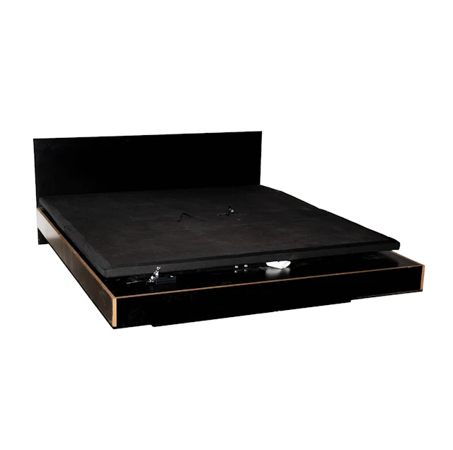 Comtempoary Platform Bed