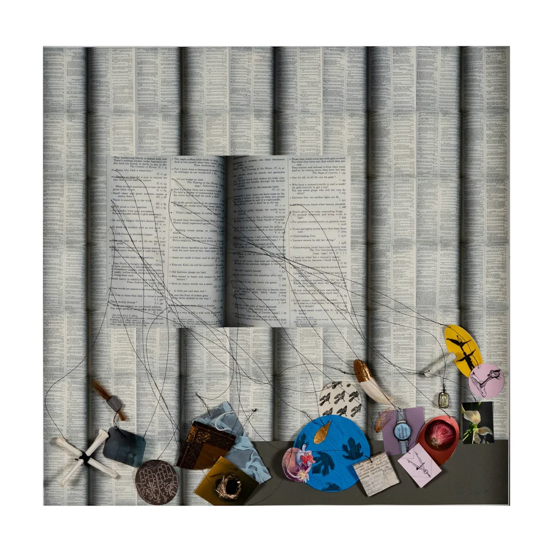 Shakespeare Shadow Box