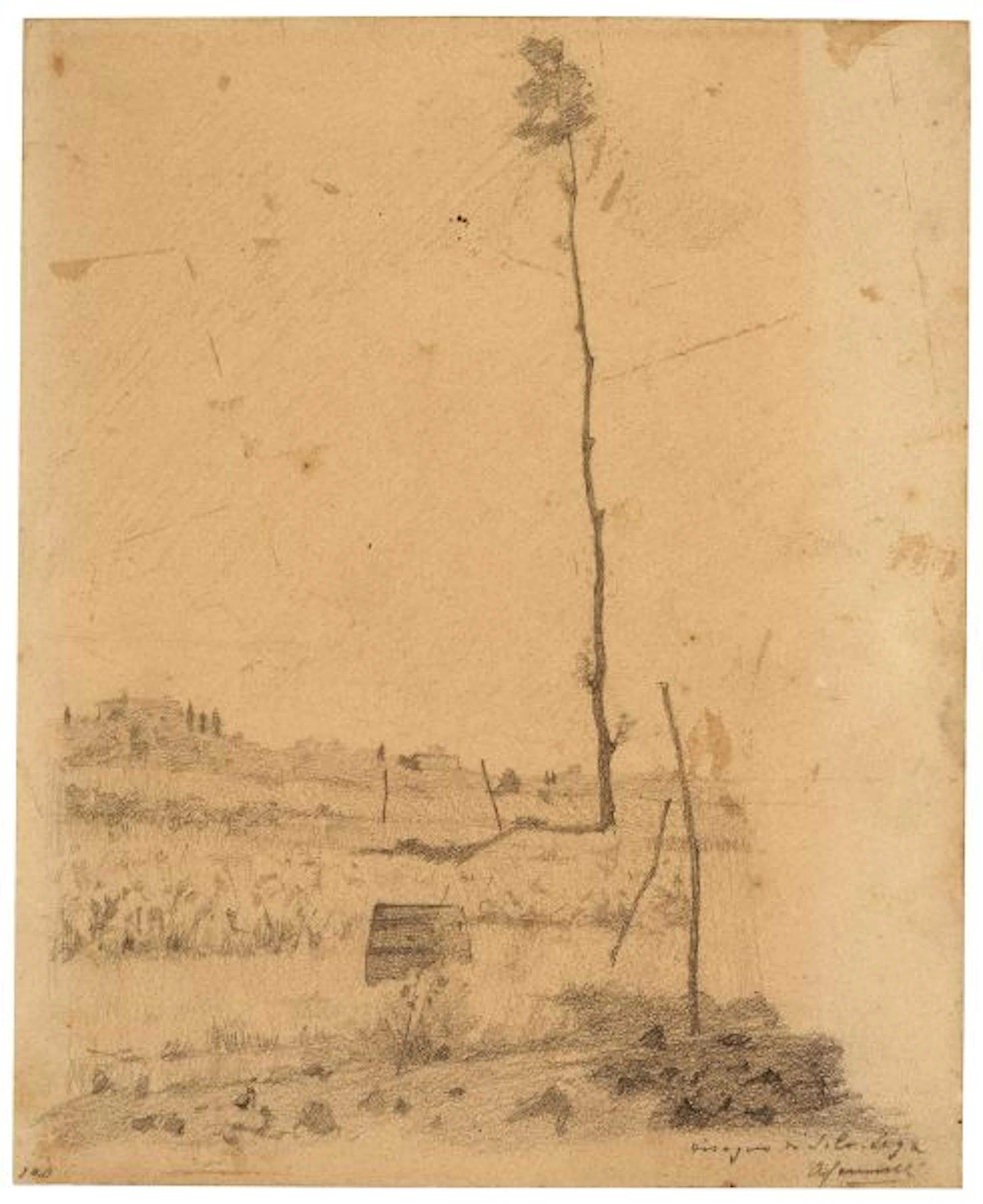 Silvestro Lega