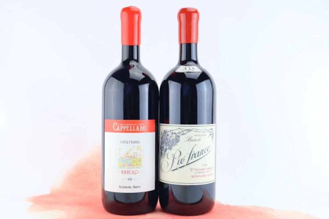 Selezione Barolo Otin Fiorin Cappellano 2021
