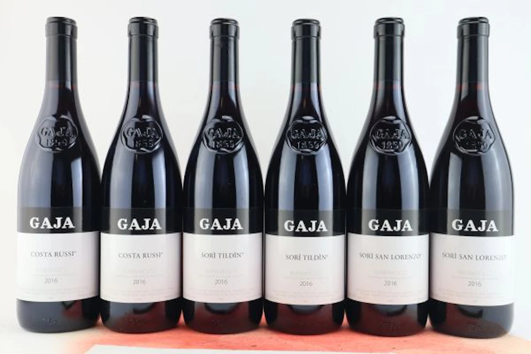 Selezione Gaja 2016