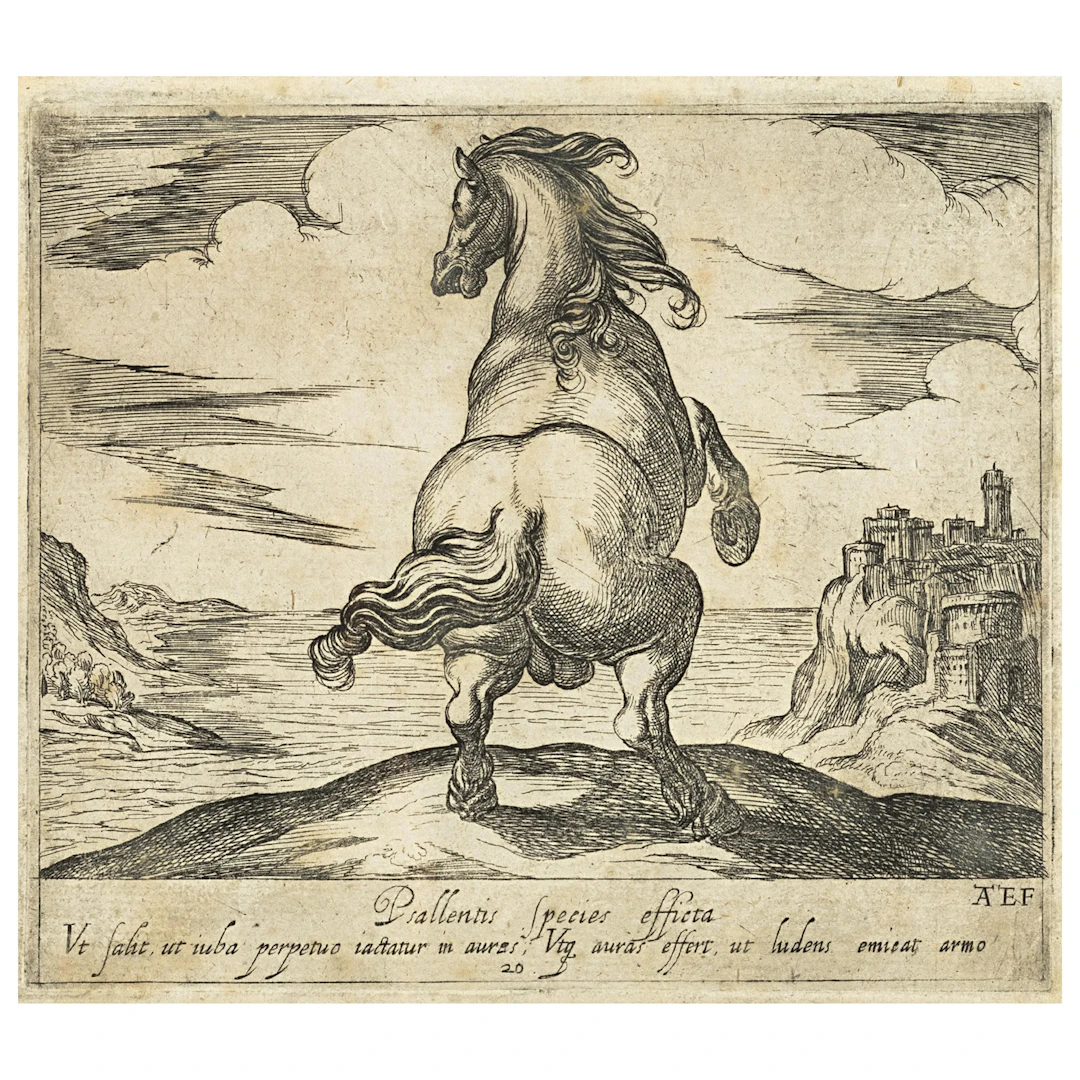 Antonio Tempesta