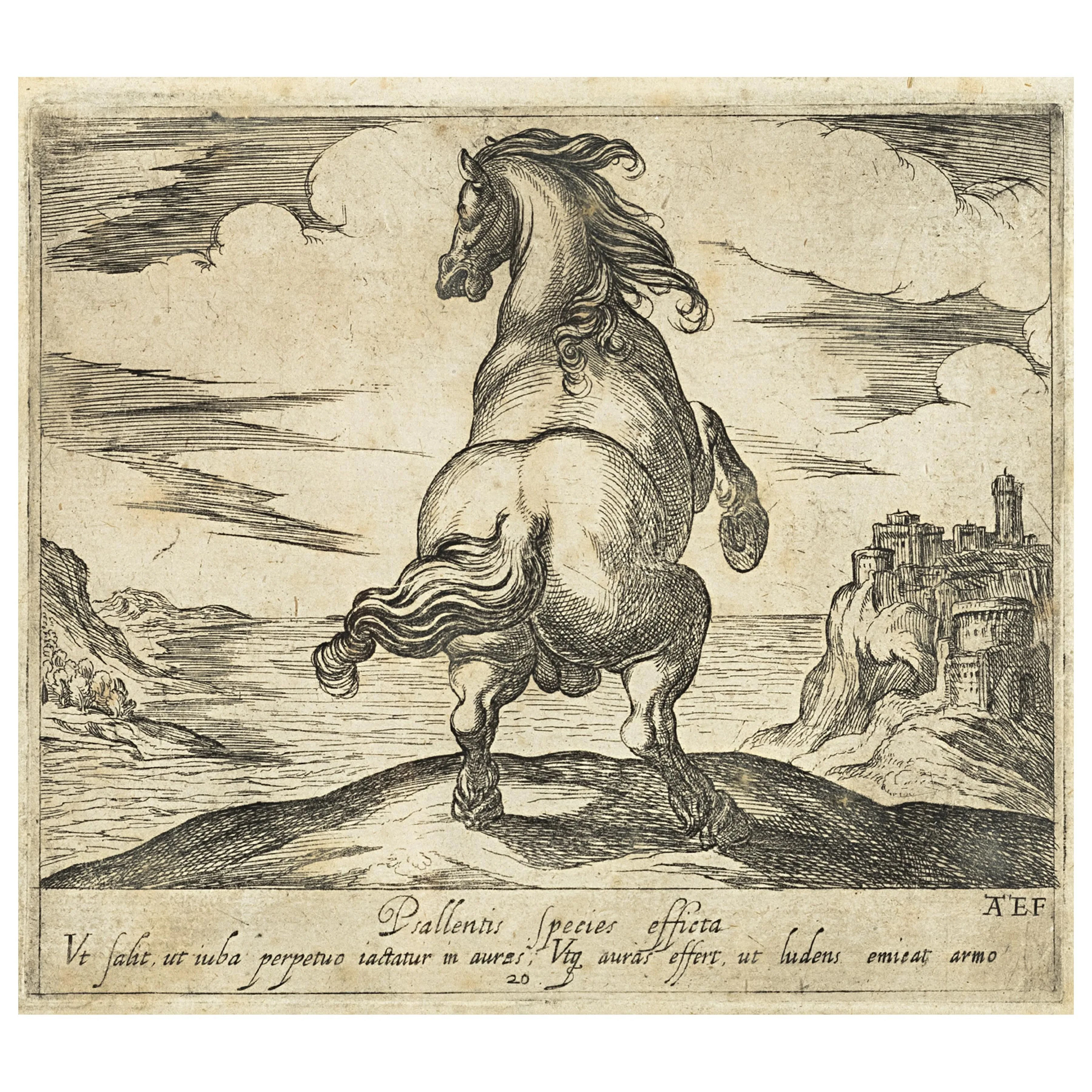 Antonio Tempesta