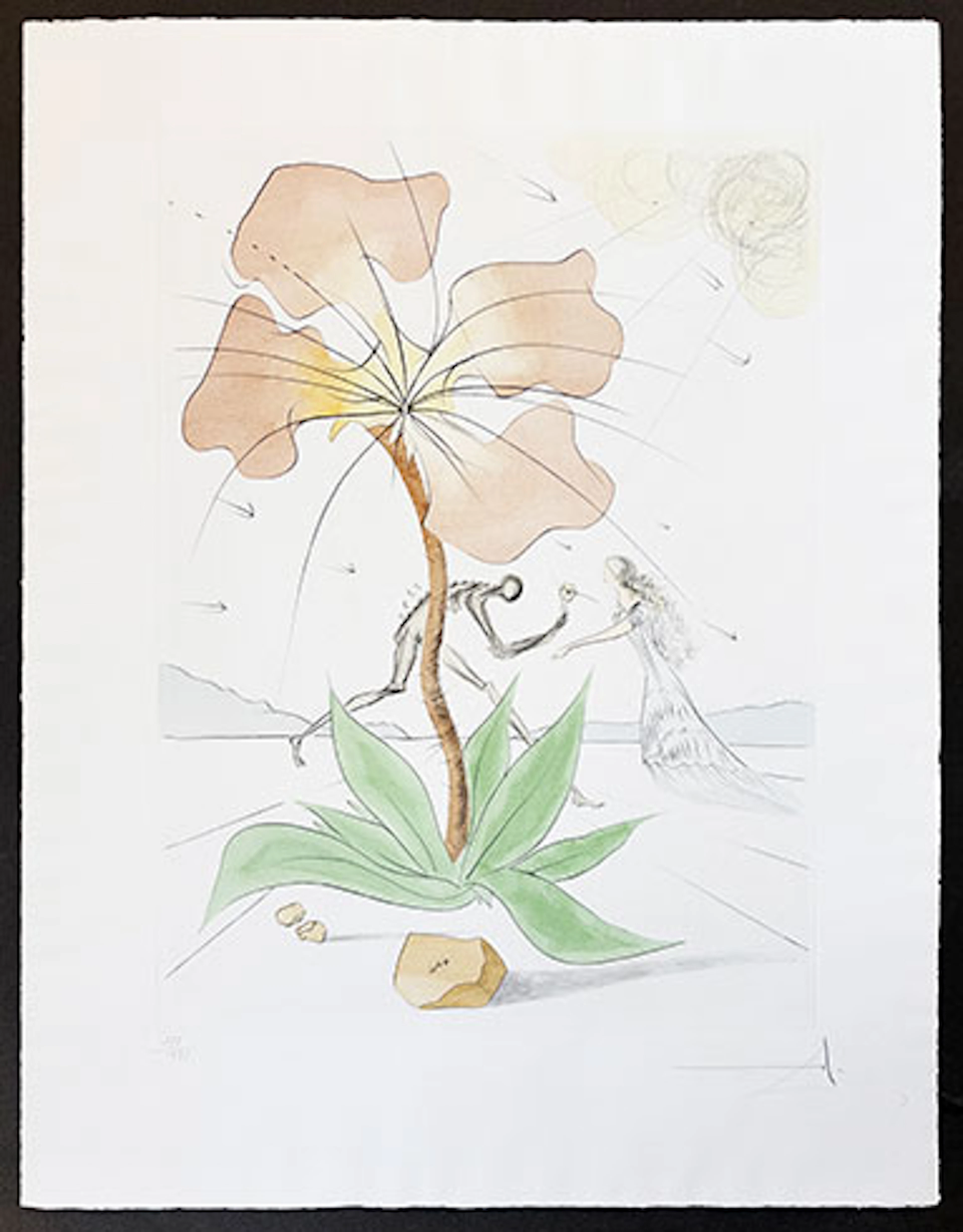 Salvador Dalí - Grabado al Aguafuerte "Reuben" - Twelve Tribes of Israel