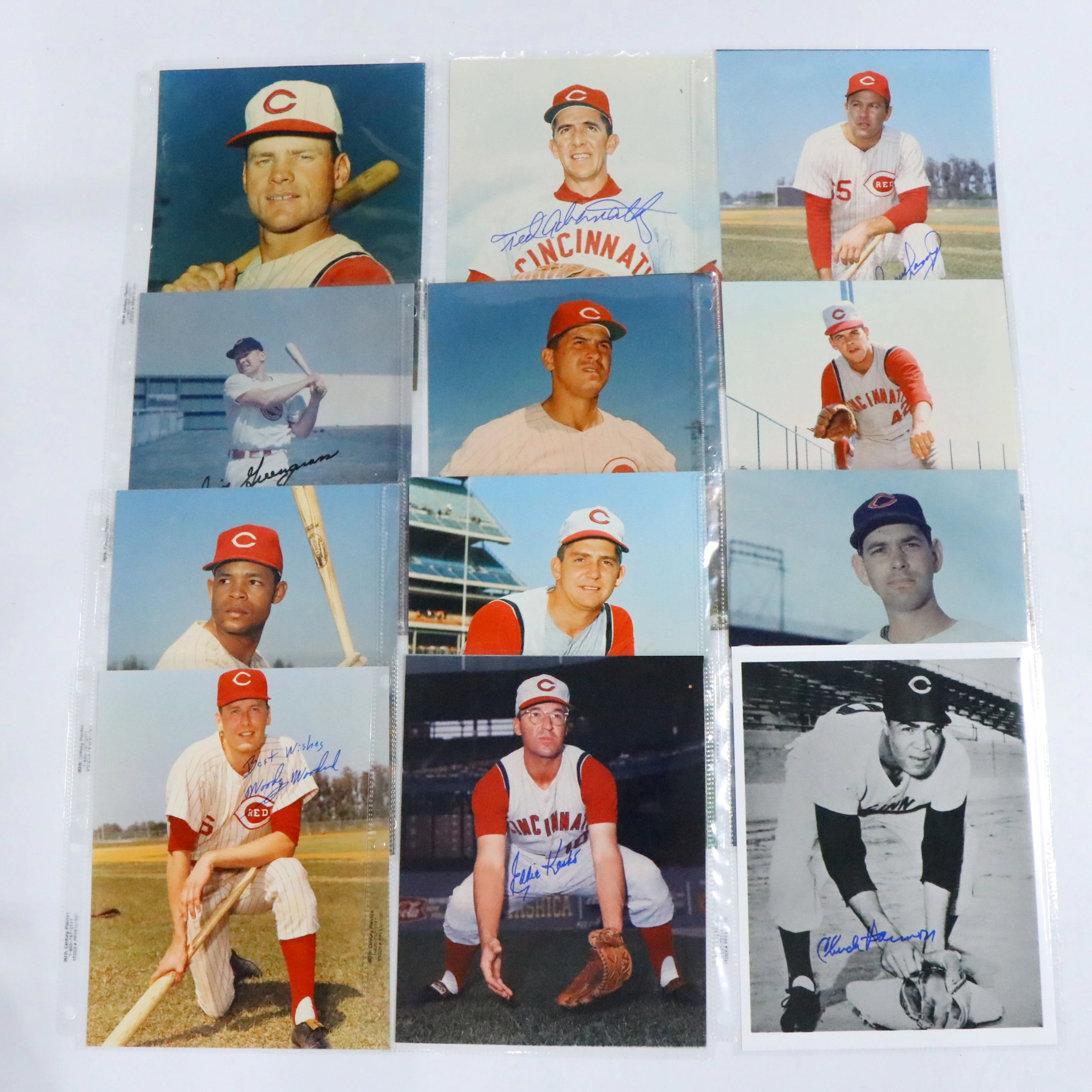Bobby Tolan, Jim Greengrass, and Other Signed Cincinnati Reds Baseball Prints