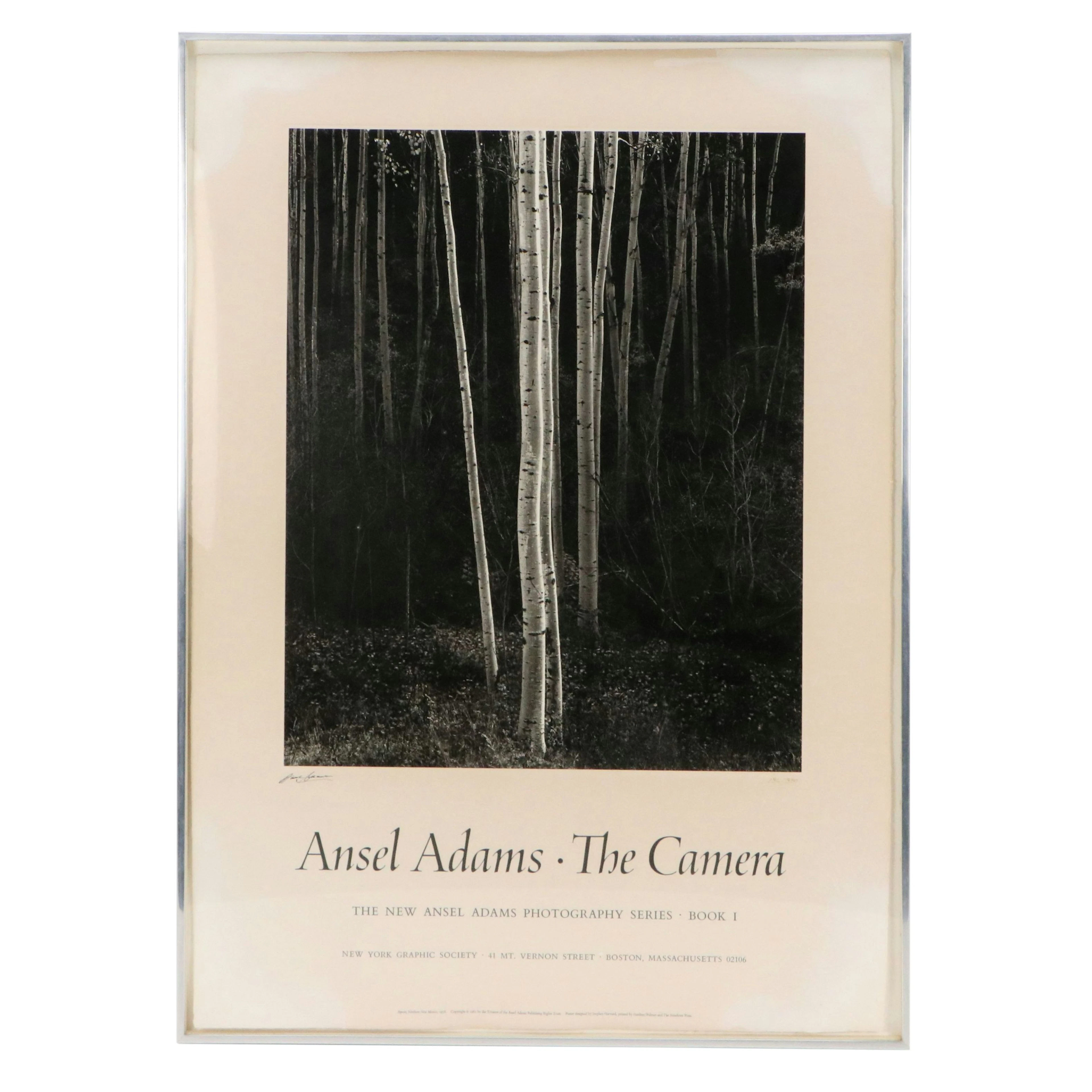 Ansel Adams Offset Lithograph Poster "Aspens, Northern New Mexico," 1981
