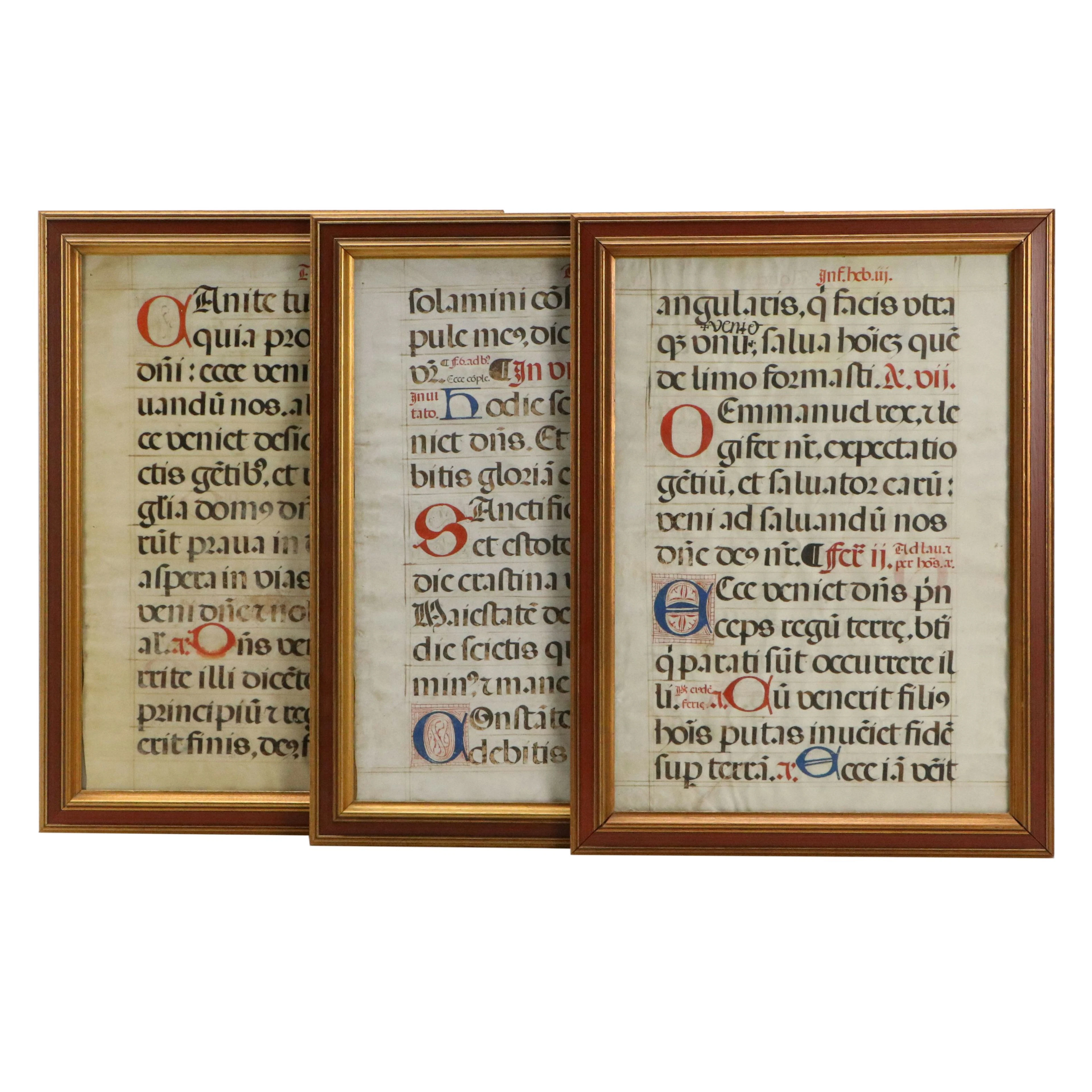 Latin Illuminated Manuscript Vellum Leaves, Circa 15th–16th Century