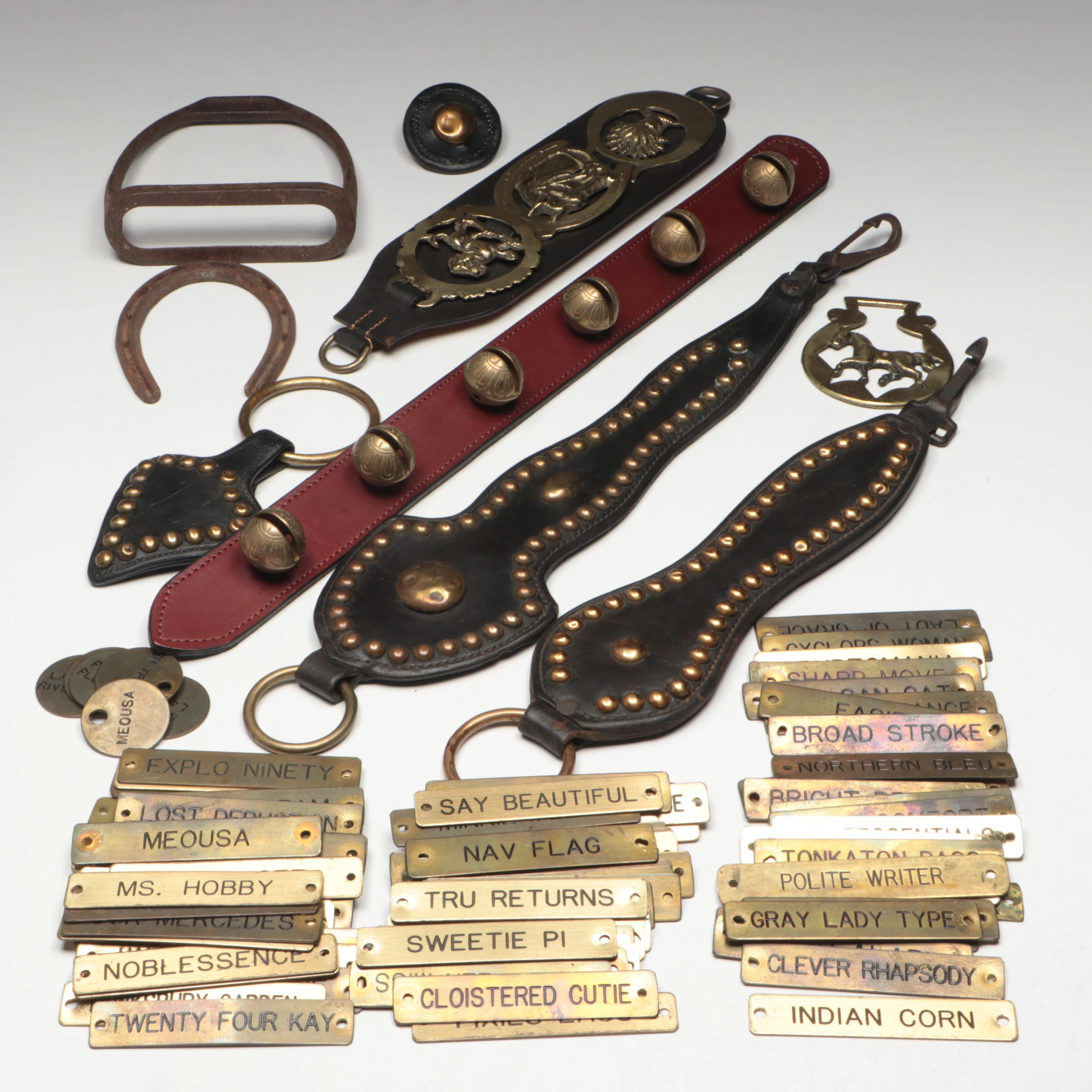Equestrian Halter Nameplates and Harness Accessories