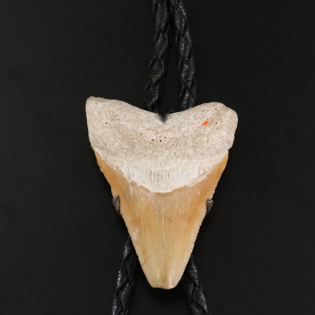Sterling Tooth Bolo Tie