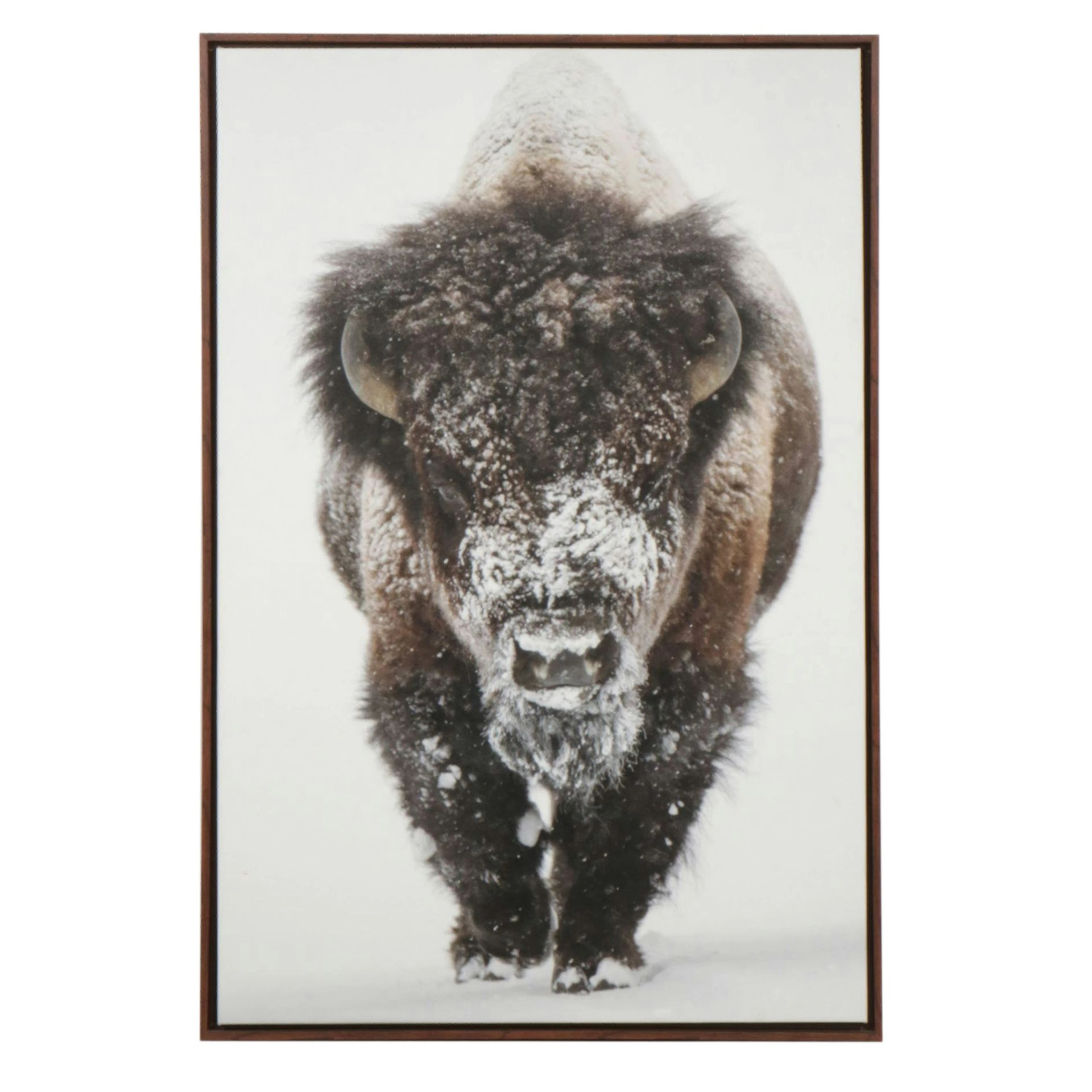 Large Digital Print of American Bison in the Snow