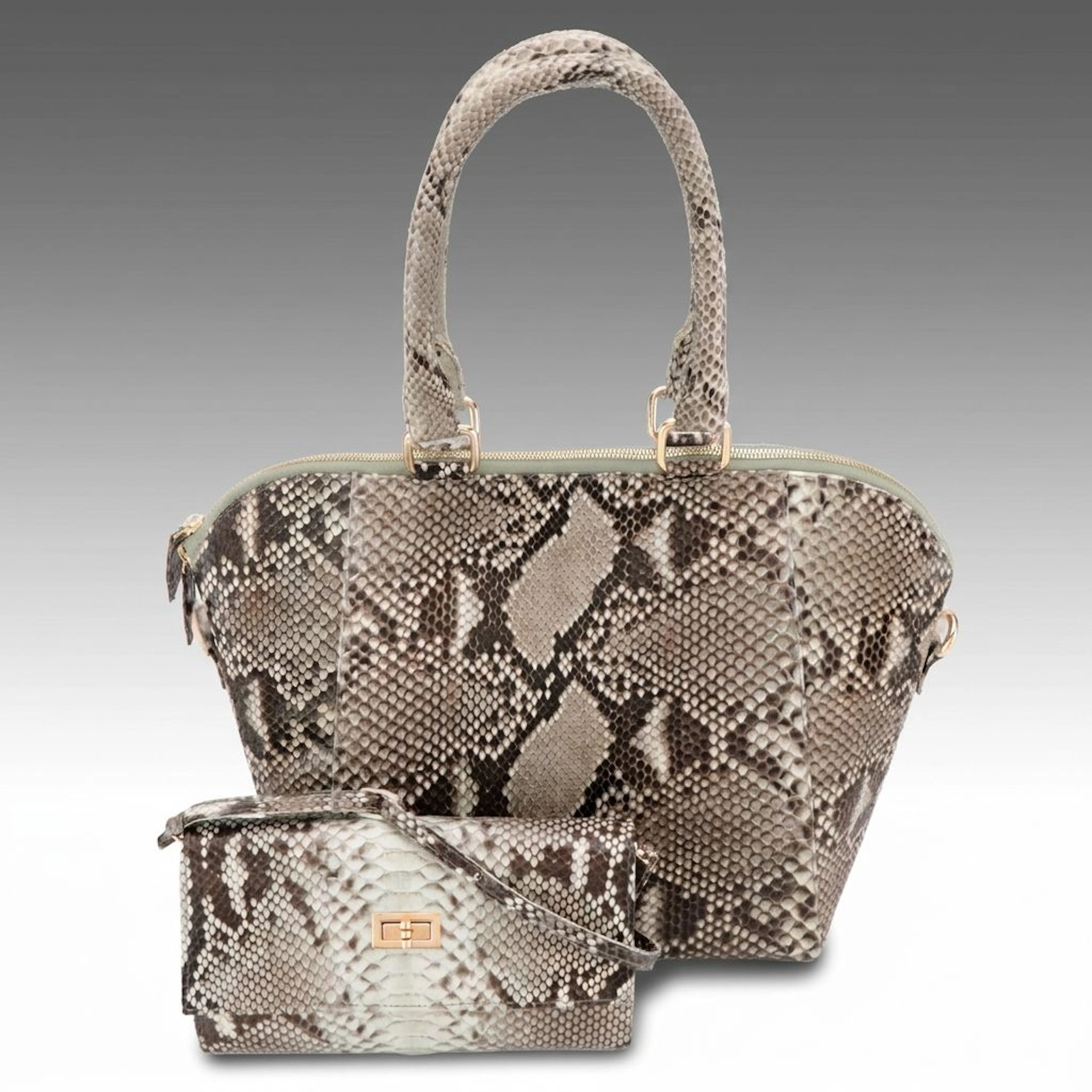 Grand Pelle Collection Python Skin Tote Bag and Crossbody Wallet with Box