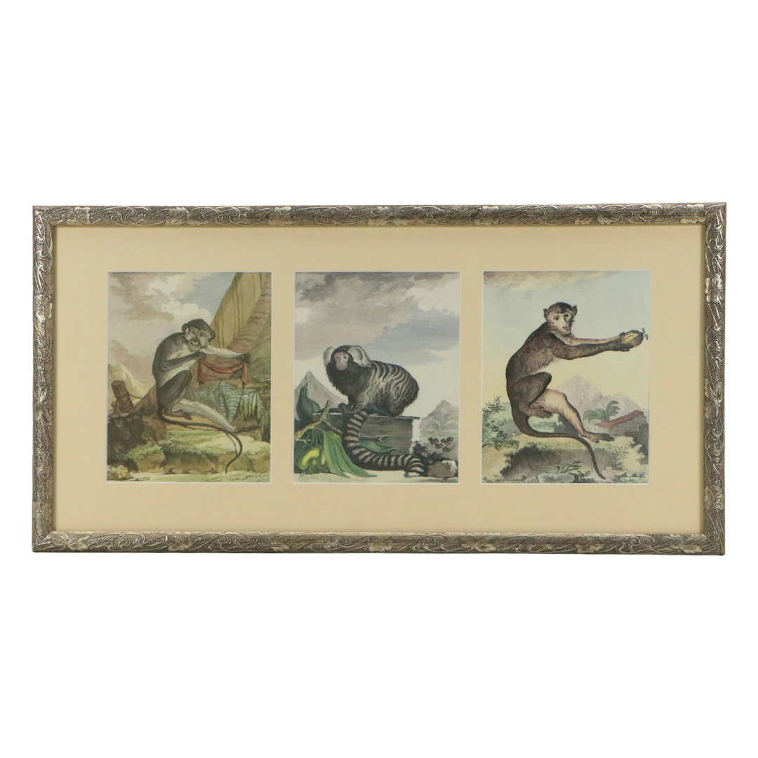 After Georges Louis Leclerc, Comte de Buffon Offset Lithographs