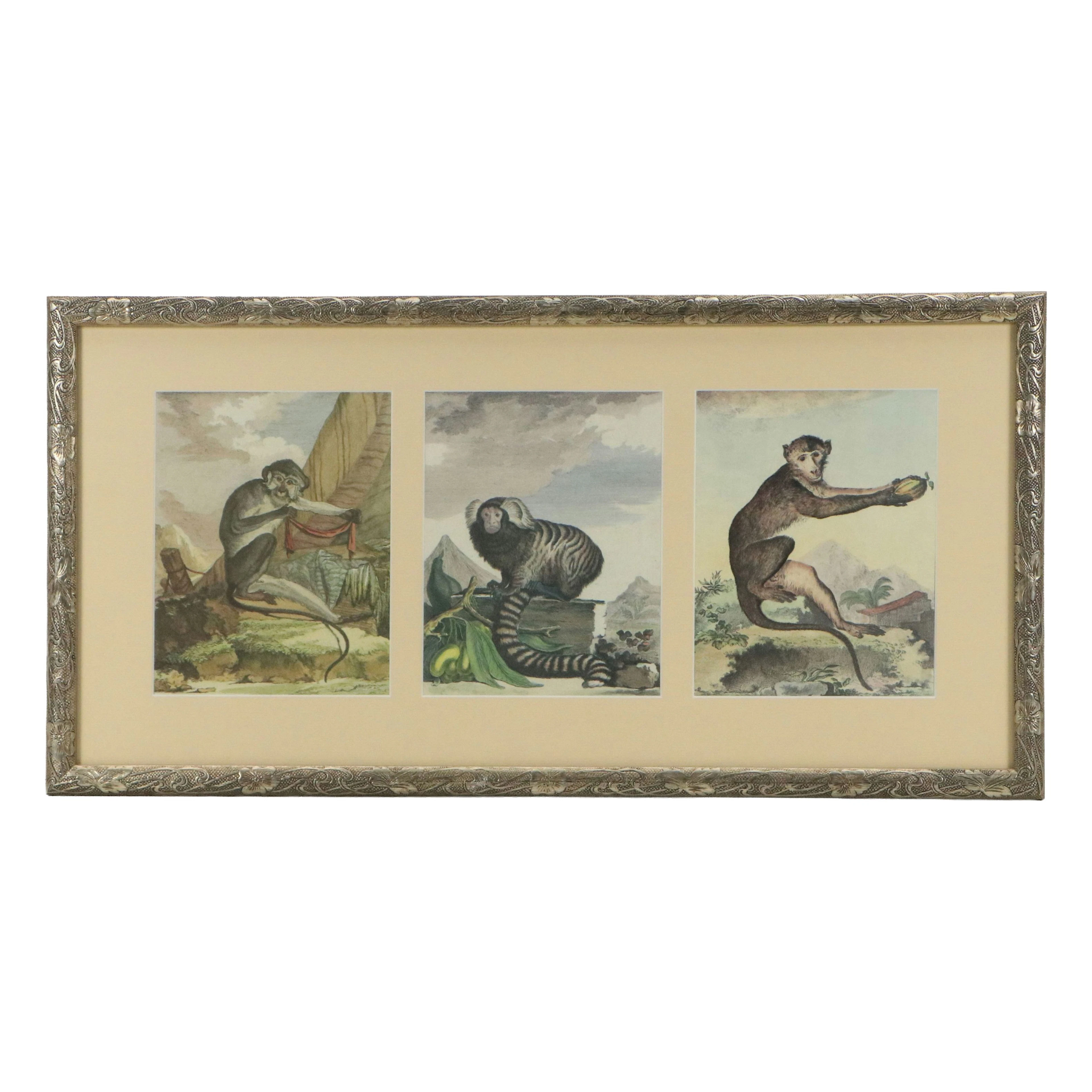 After Georges Louis Leclerc, Comte de Buffon Offset Lithographs