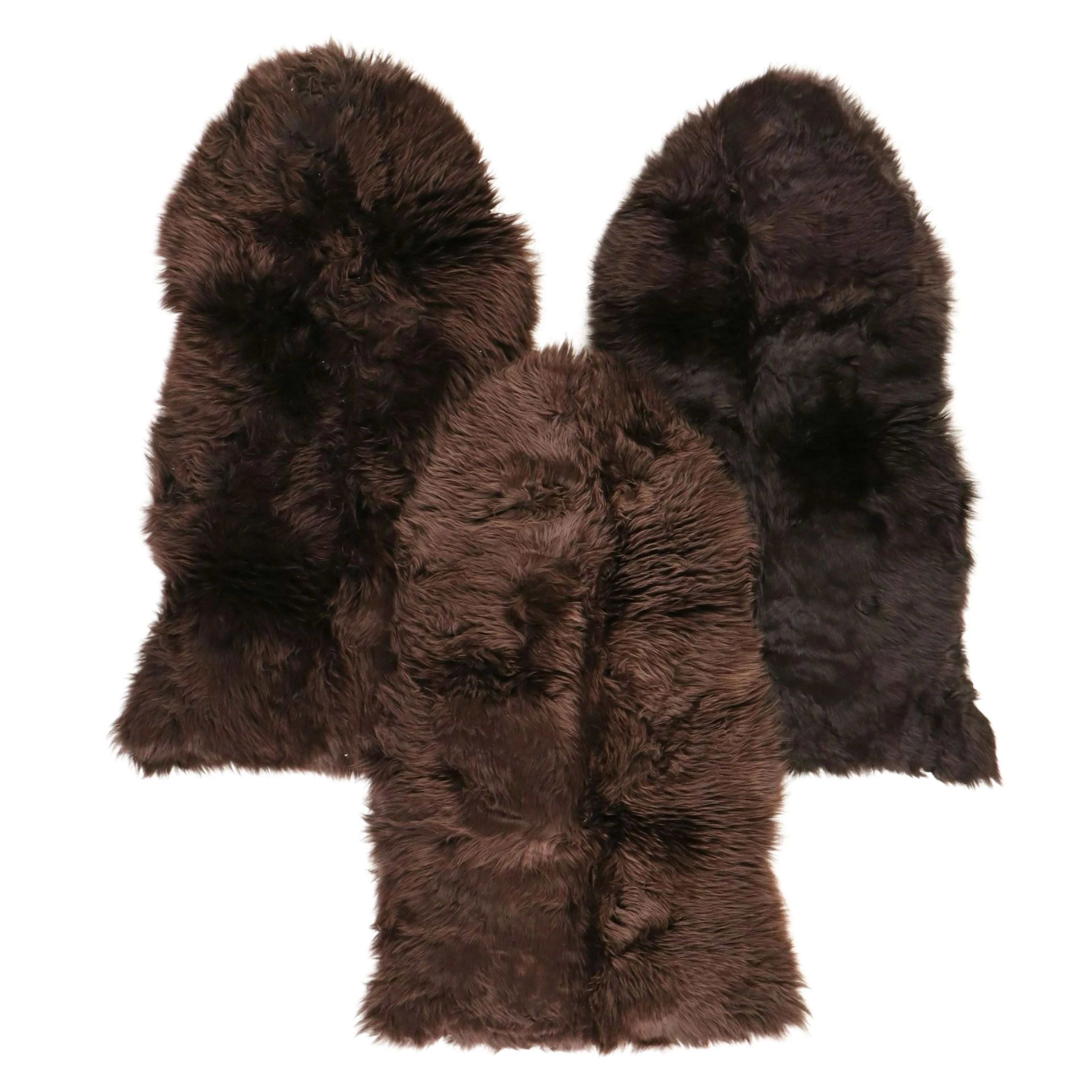 2' x 3' New Zealand Sheepskin Single Pelt Accent Rugs in Chocolate