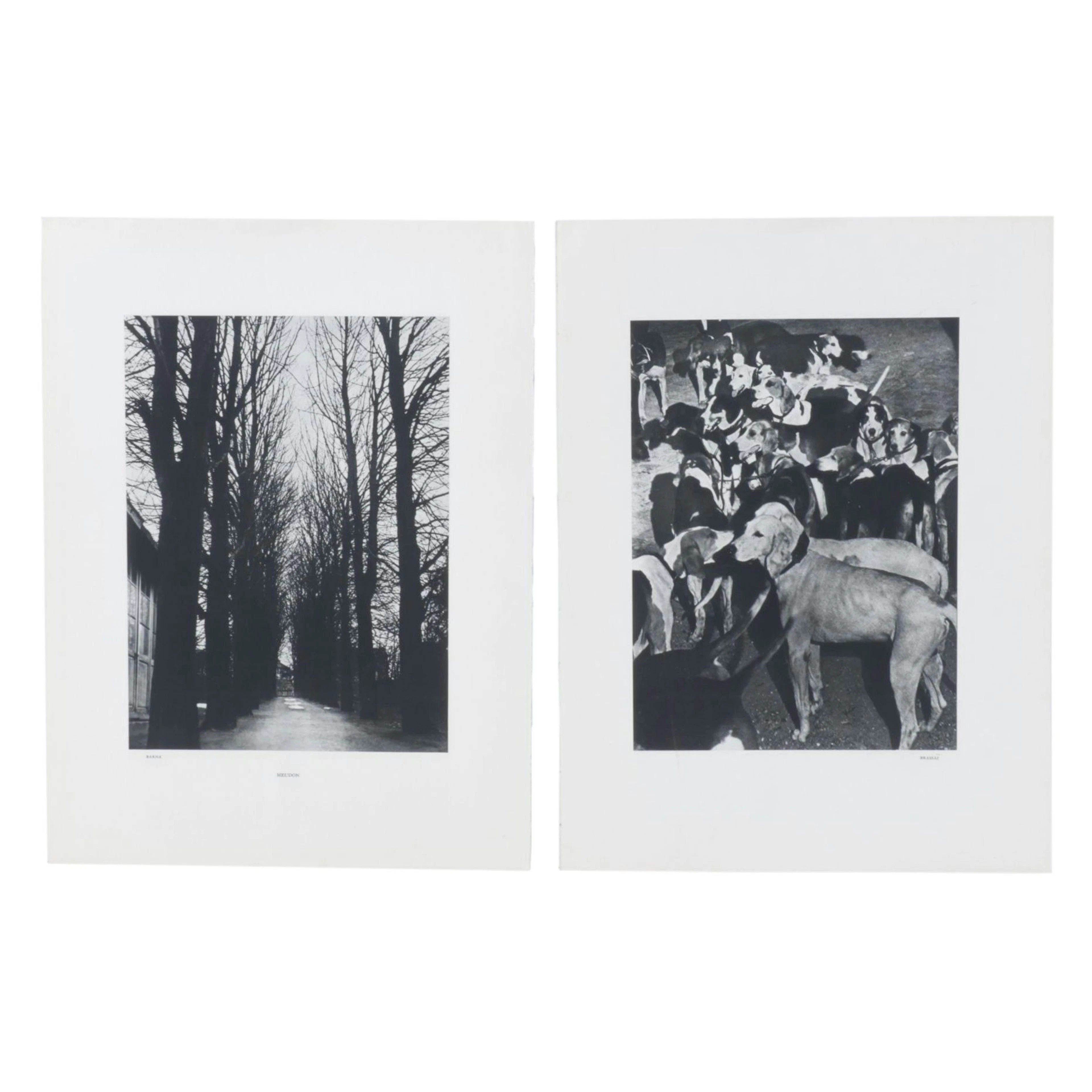 Barna & Brassaï Heliogravure "Meudon" & "Fontain Médicis" for "Verve", 1939