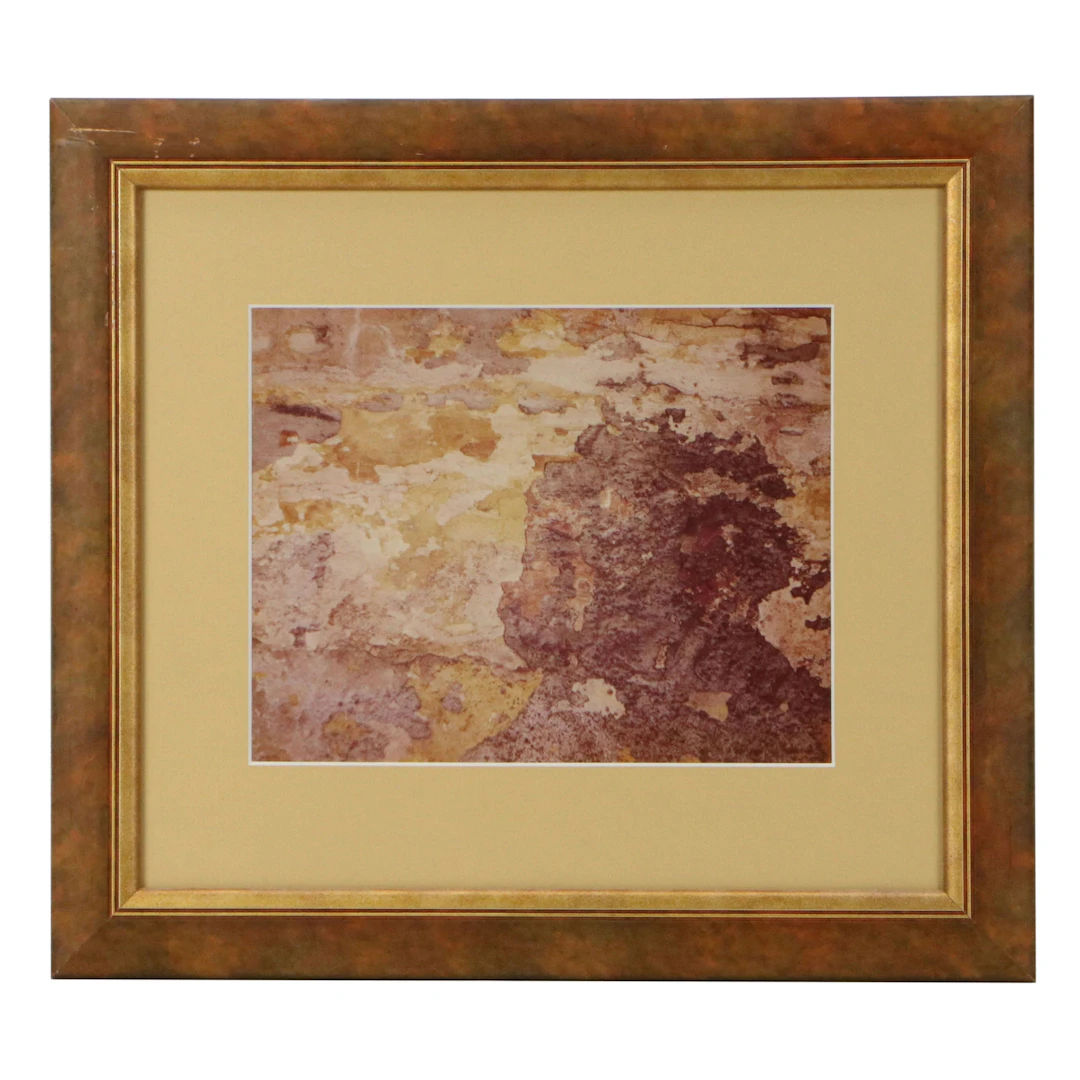 Abstract Chromogenic Color Print in Brown and Burgundy