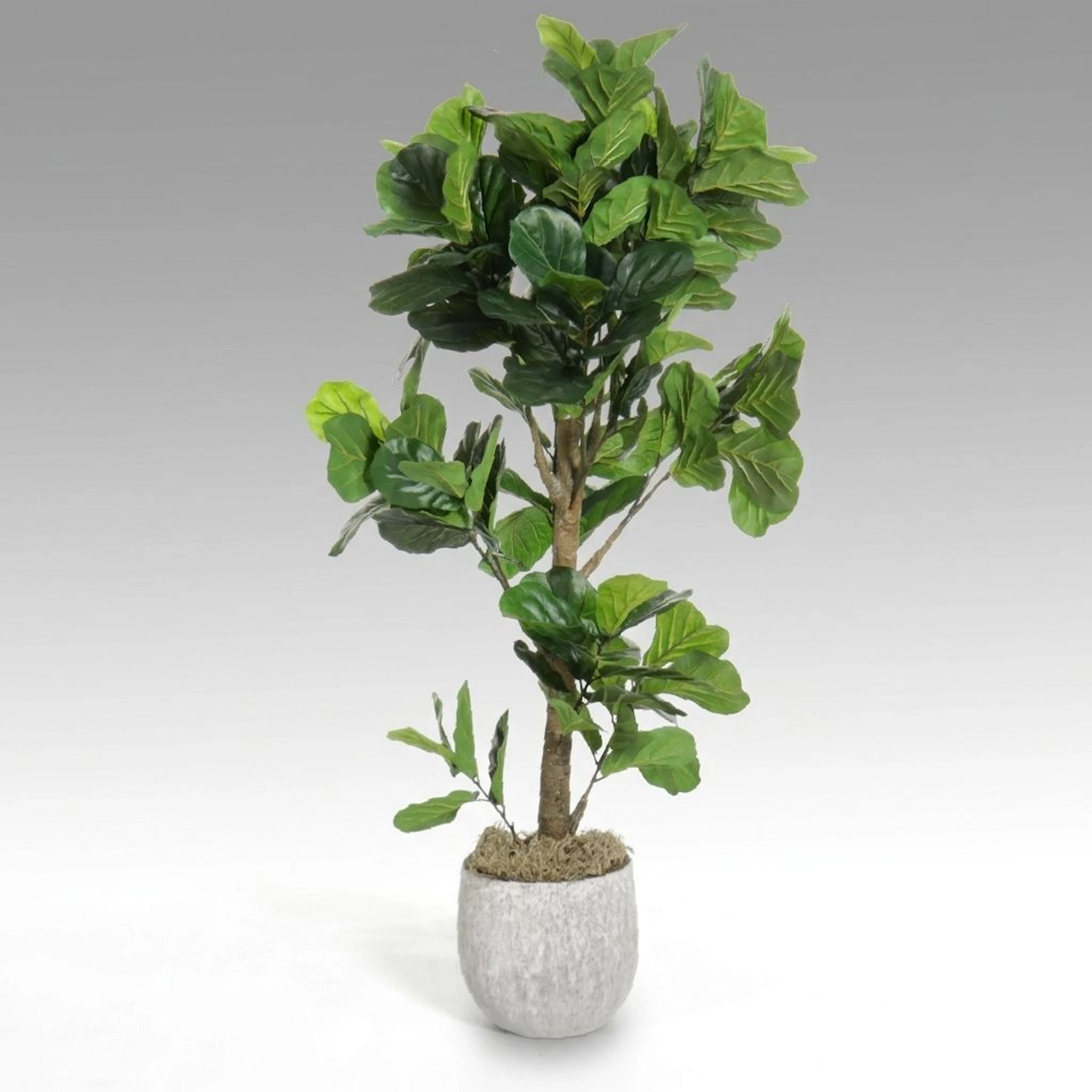 Artificial Fiddle-Leaf Fig Tree in a Planter