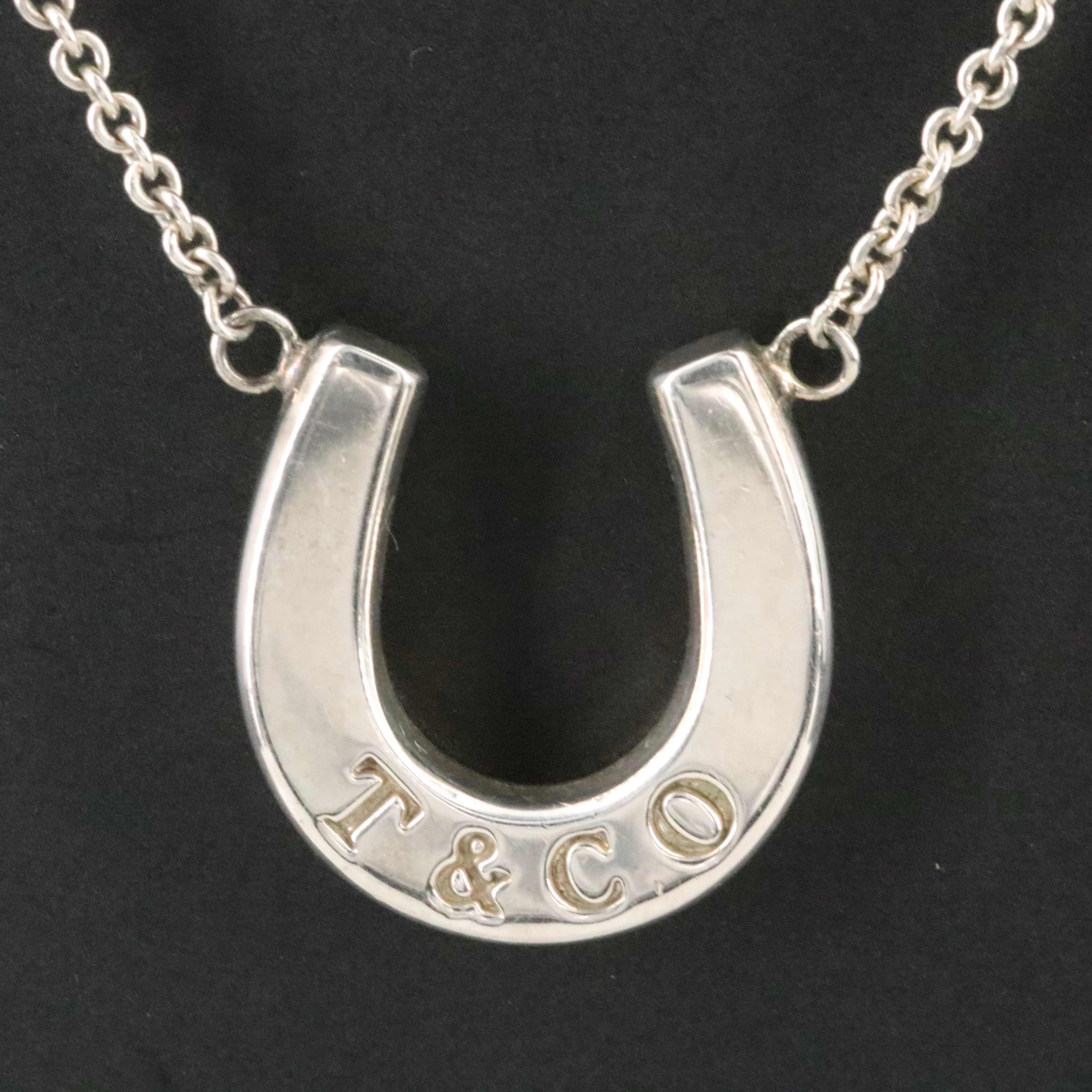 Tiffany & Co. Sterling Horseshoe Necklace