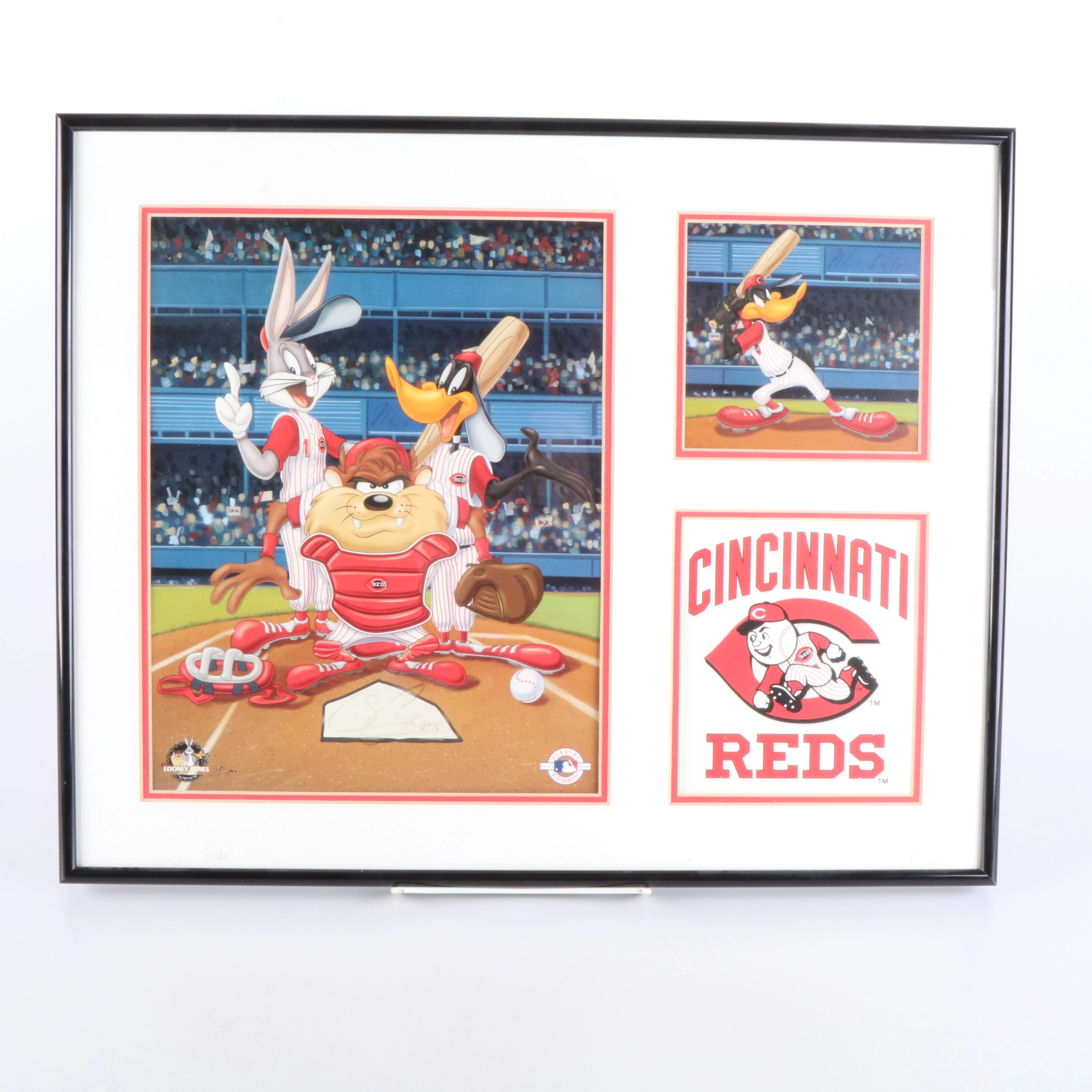 Sean Casey Signed Limited Edition Looney Tunes Cincinnati Reds Baseball Display