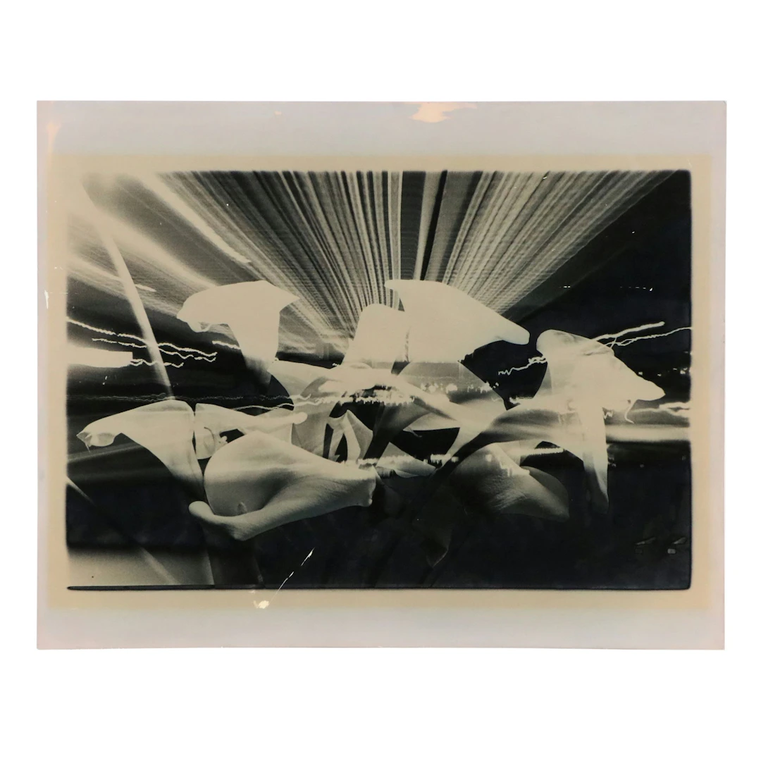 Abstract Cyanotype with Solarization of Calla Lilies, Late 20th Century