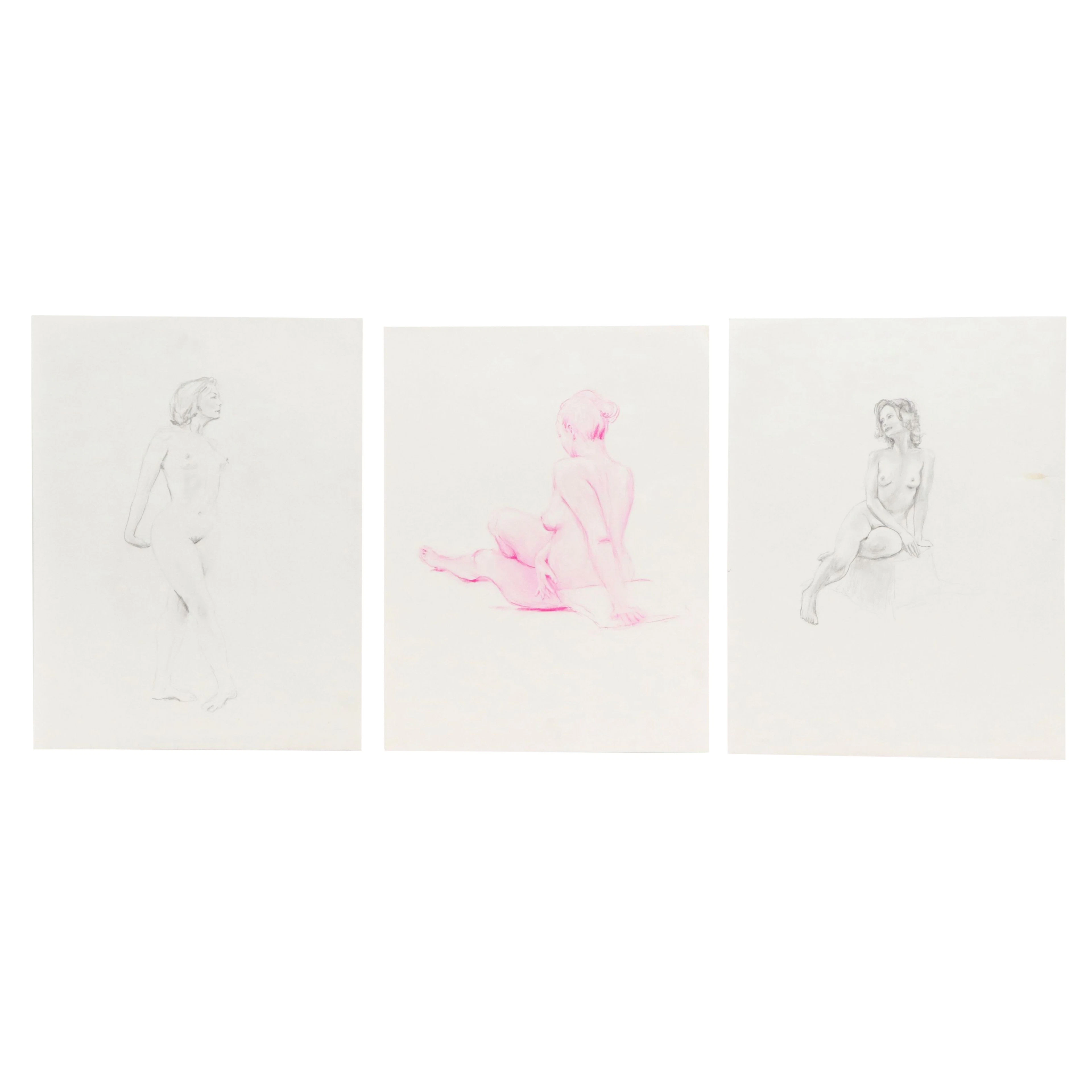 Larry Griggs Graphite and Pastel Drawings of Female Nudes, 21st Century