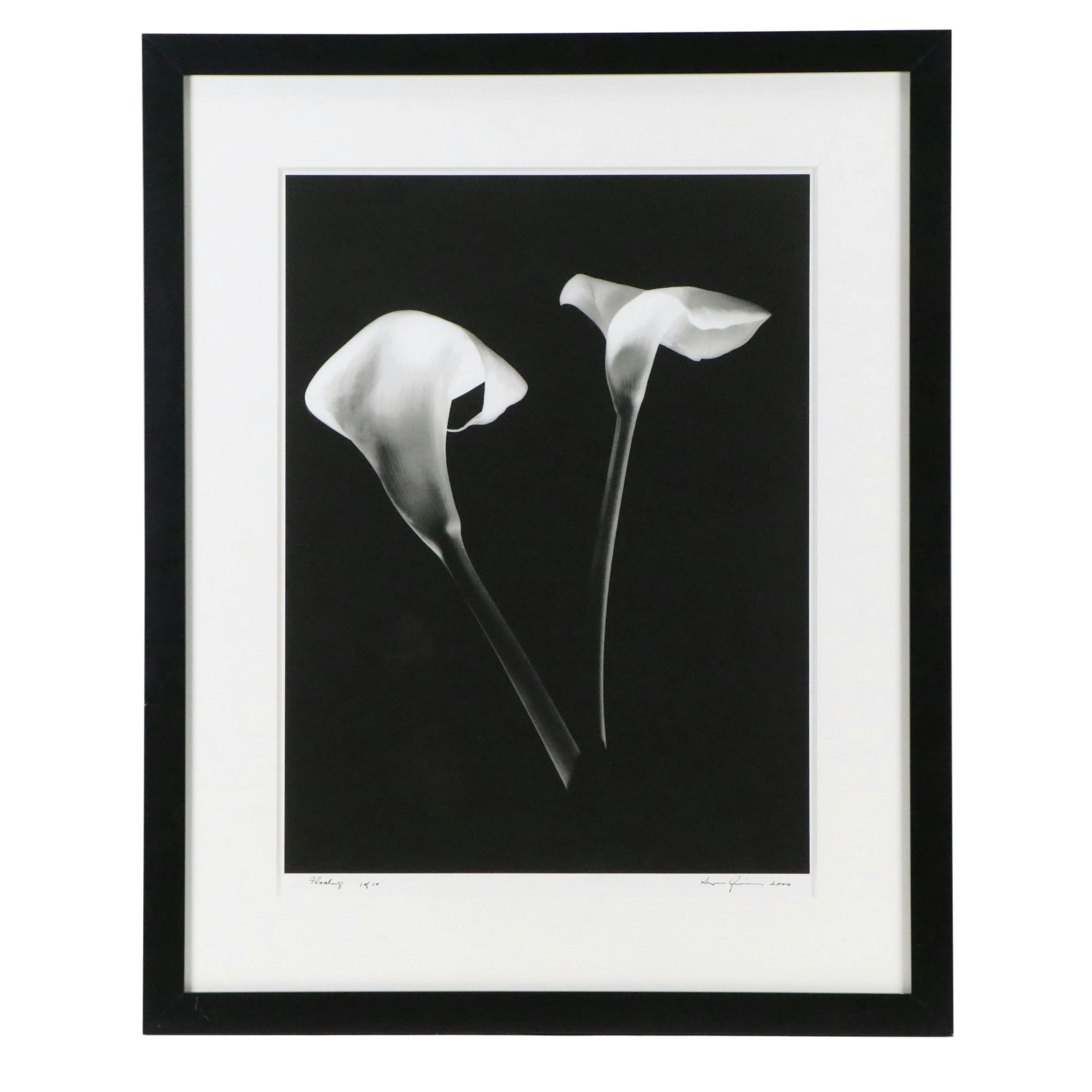 Minimalist Calla Lilly Digital Print "Floating," 2000