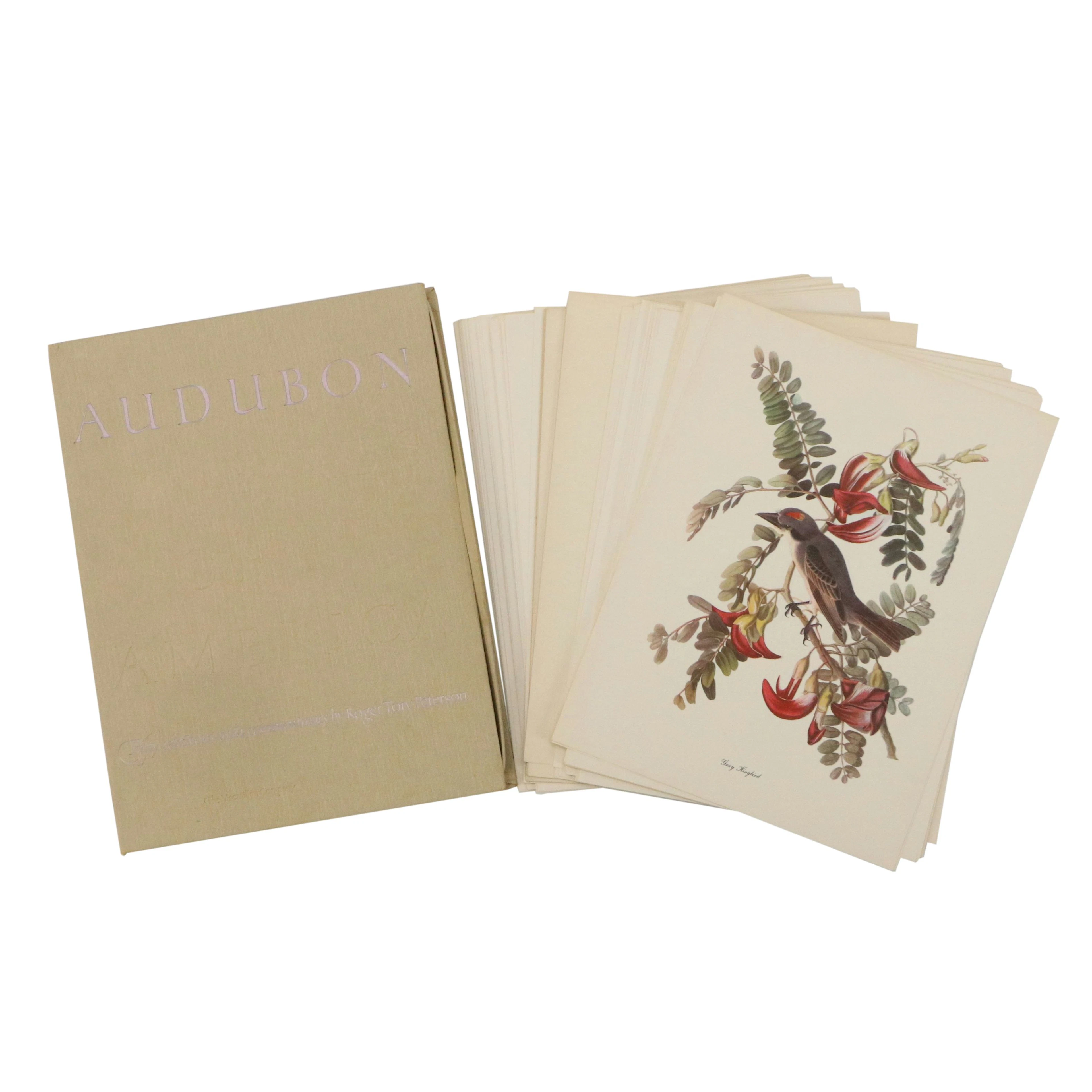 After John Audubon Portfolio of Offset Lithographs "The Birds of America"