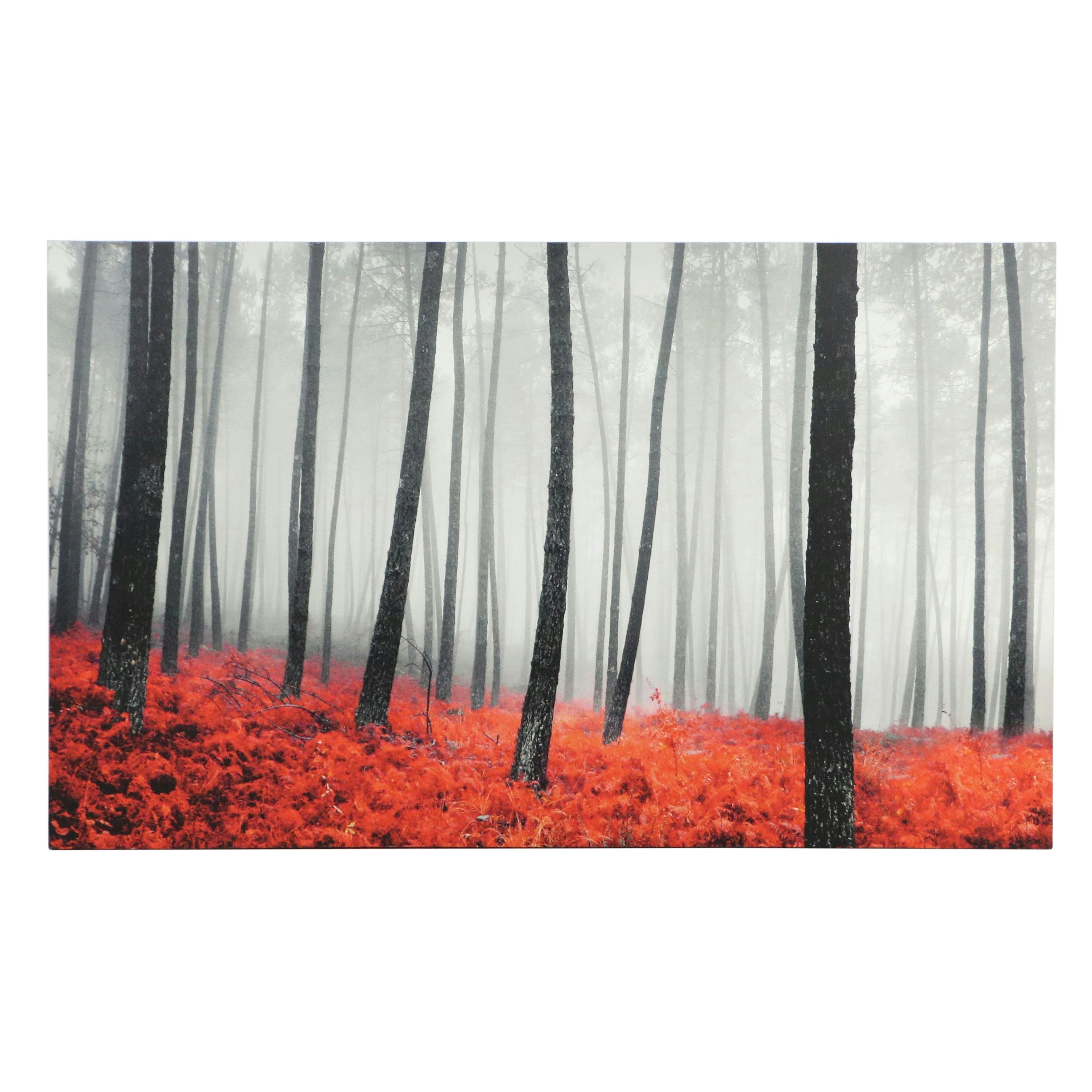 Digital Print of Forested Landscape, 21st Century