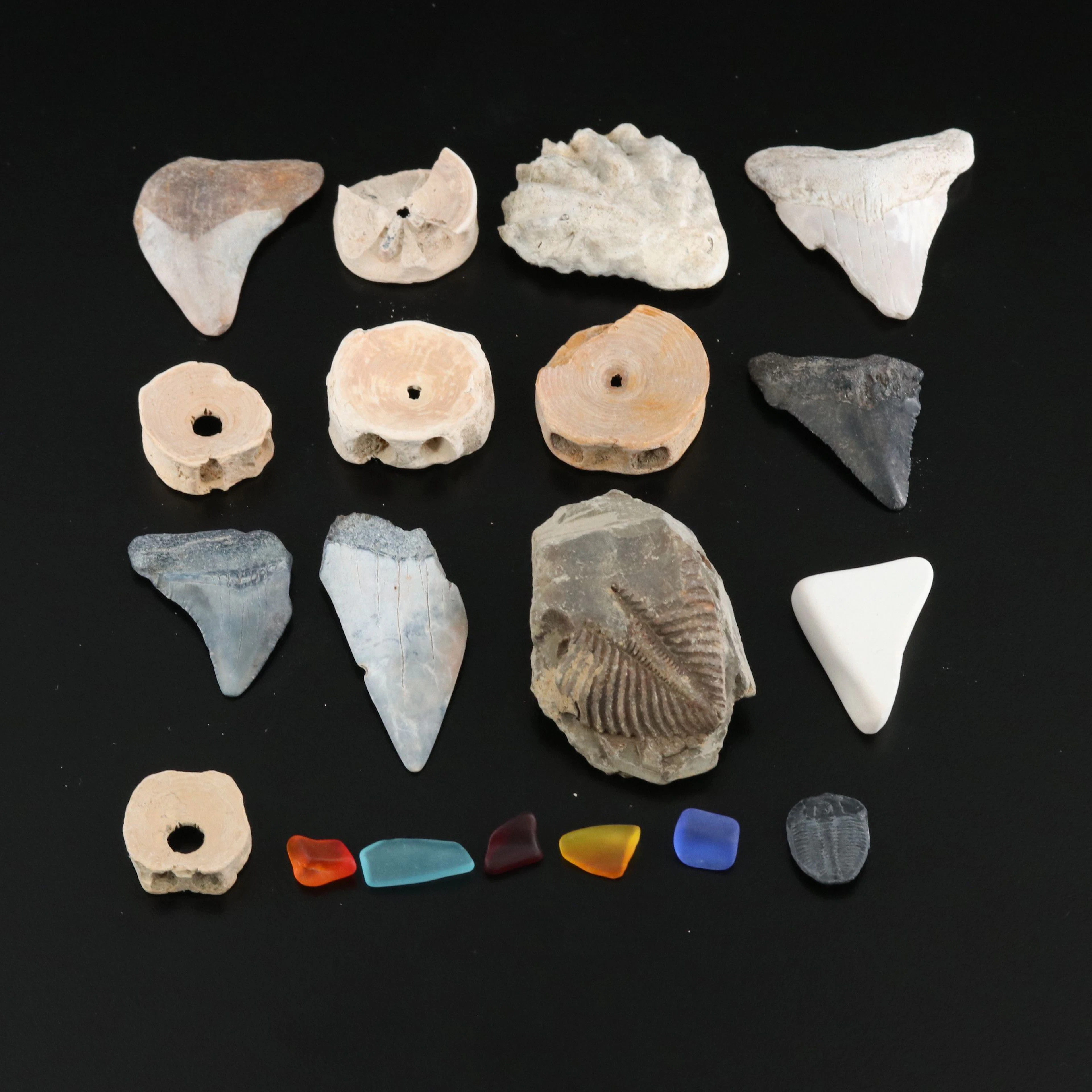 Loose Assorted Fossils, Pottery Shard and Sea Glass