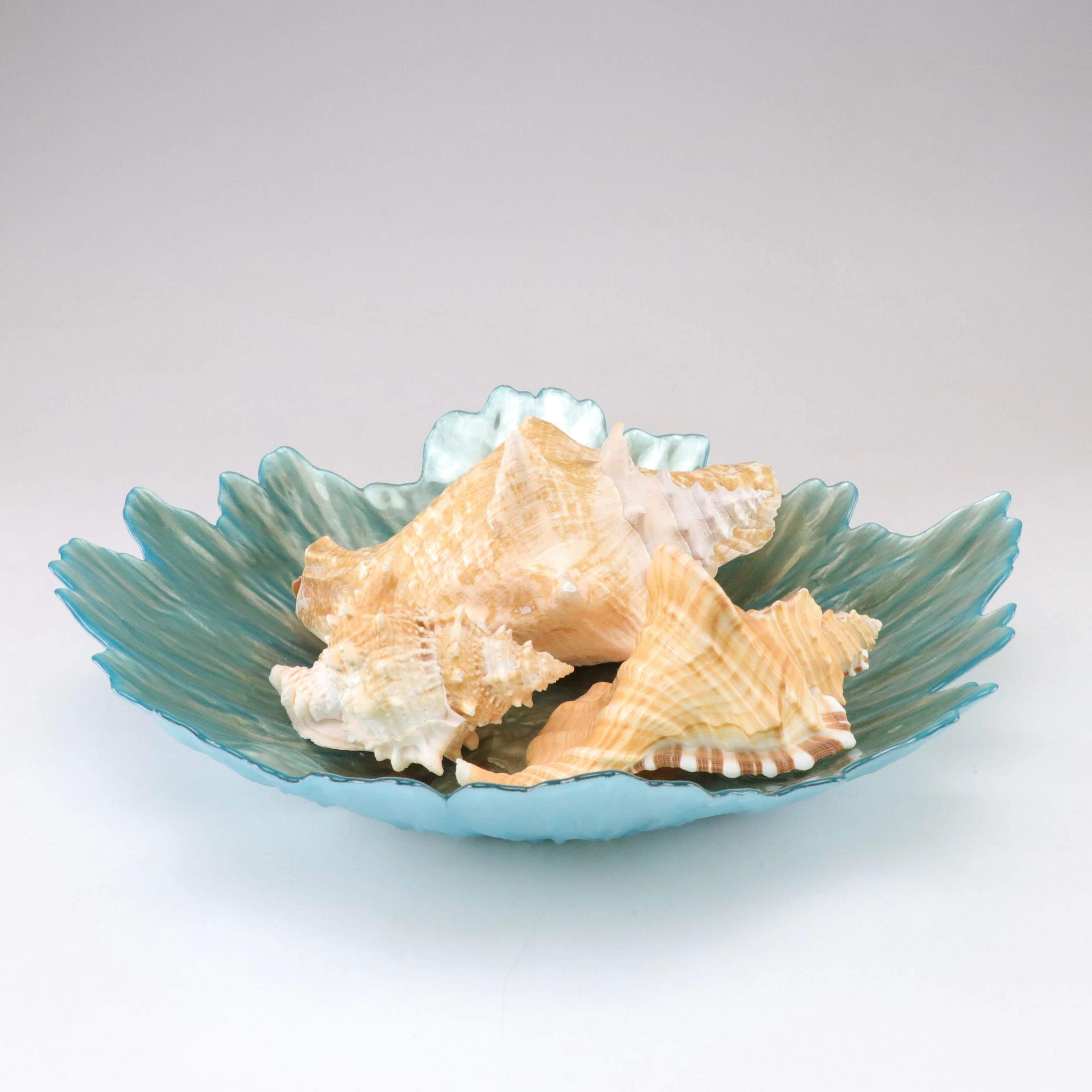Glass Centerpiece Bowl with Queen Conch, Frog Shell, and Perry's Triton