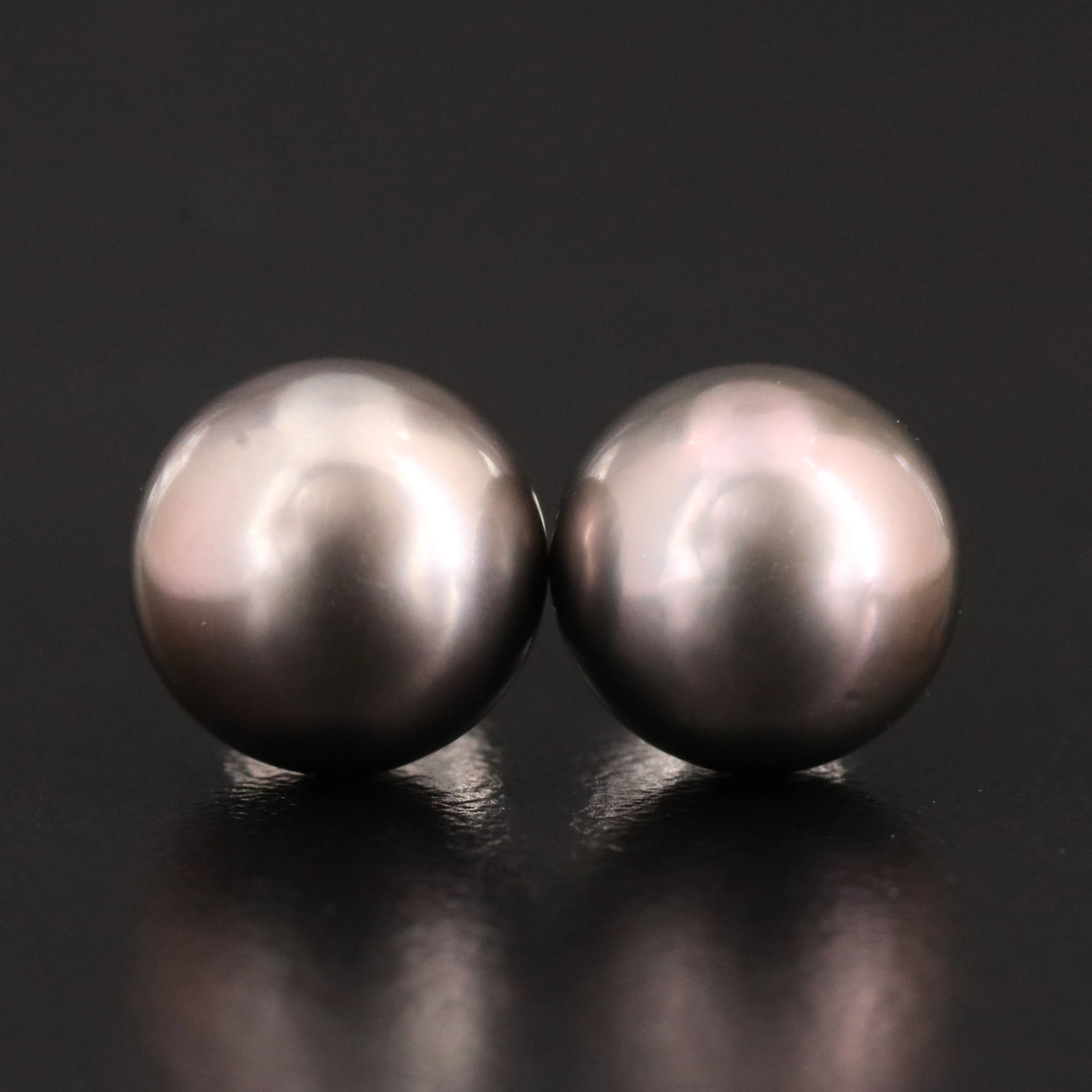 14K Dark Pearl Solitaire Earrings