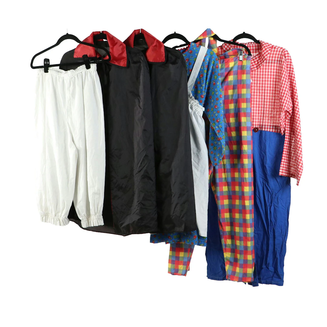 Assorted Costumes with Accessories