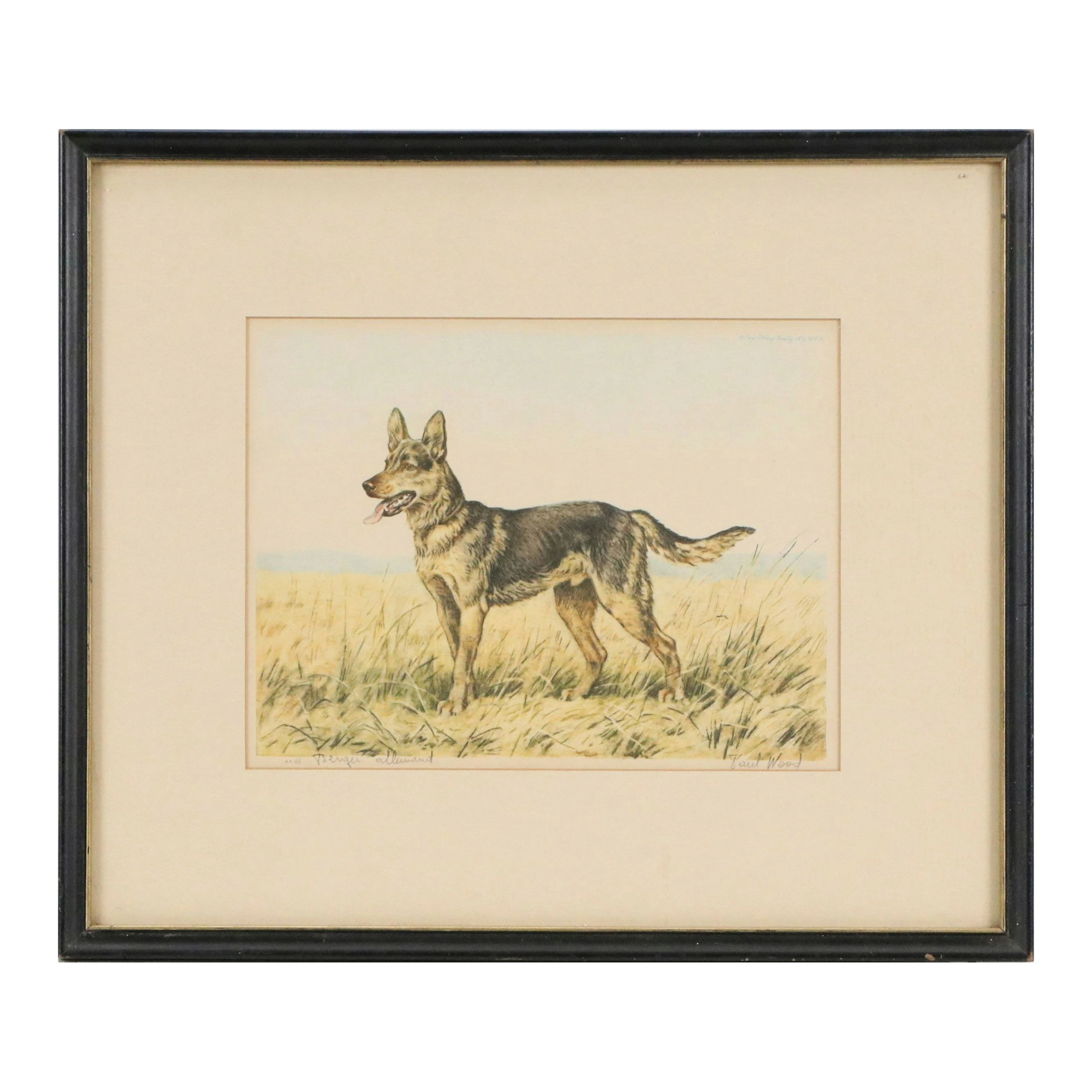 Paul Wood Etching à la Poupée "Berger Allemand," Early 20th Century