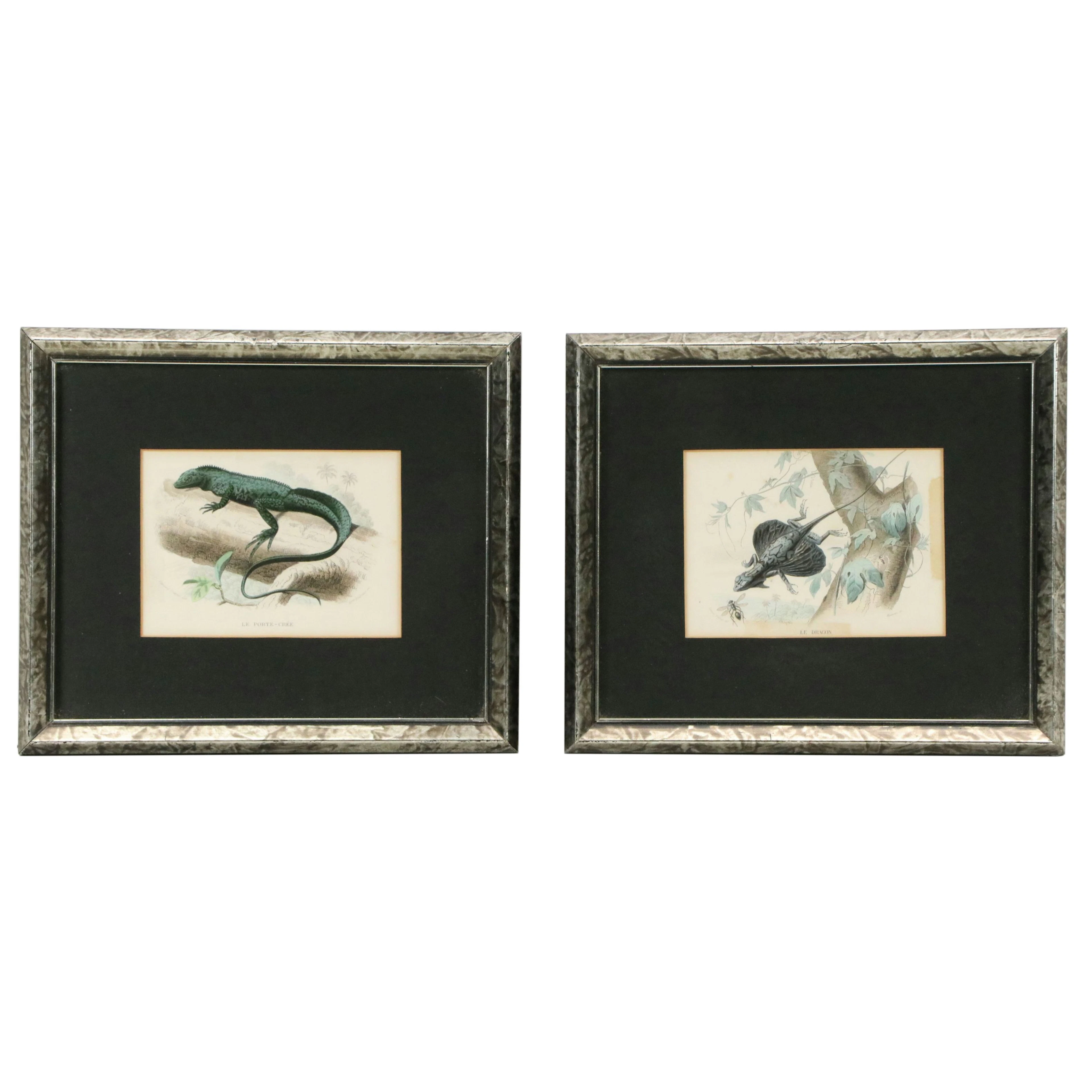 After Édouard Traviès Hand-Colored Engravings "Le Porte-crèe" and "Le Dragon"