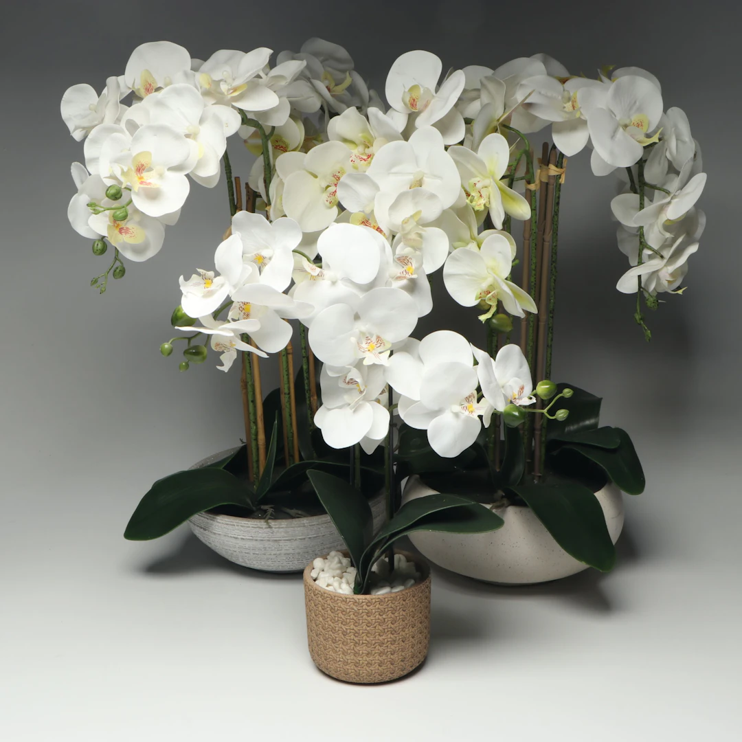 Artificial Orchid Arrangements
