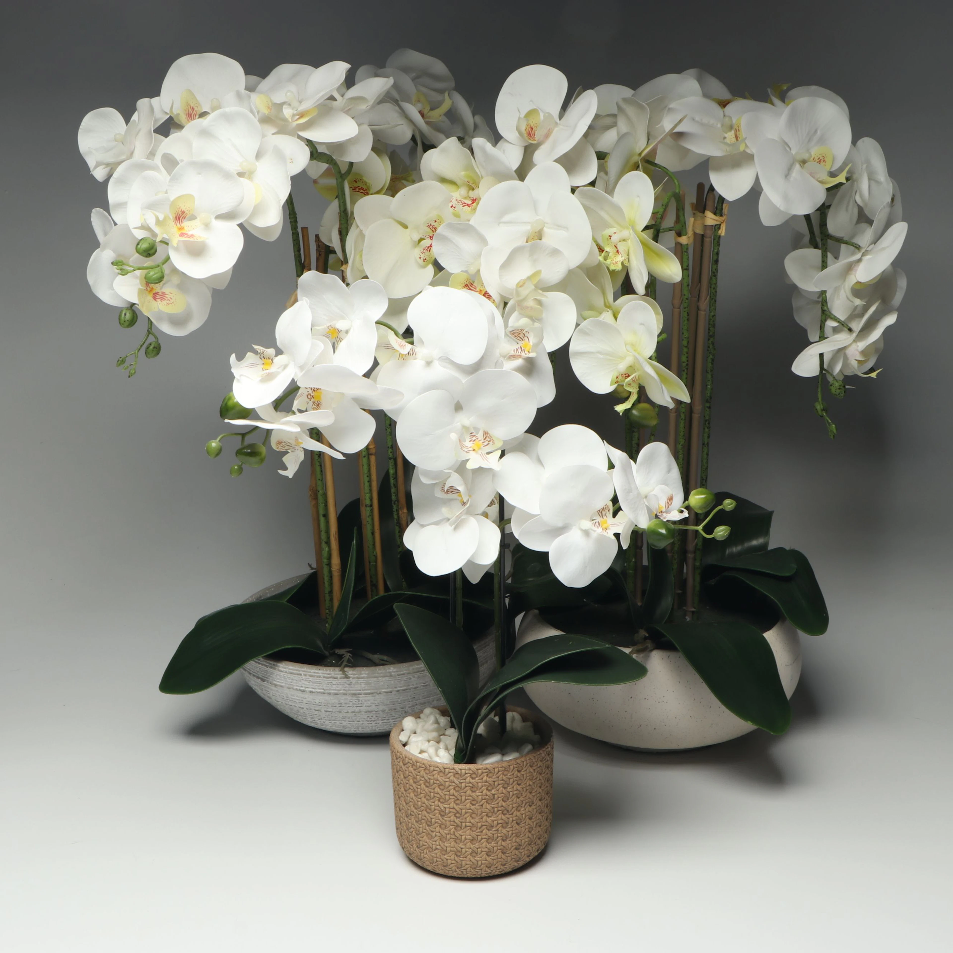 Artificial Orchid Arrangements