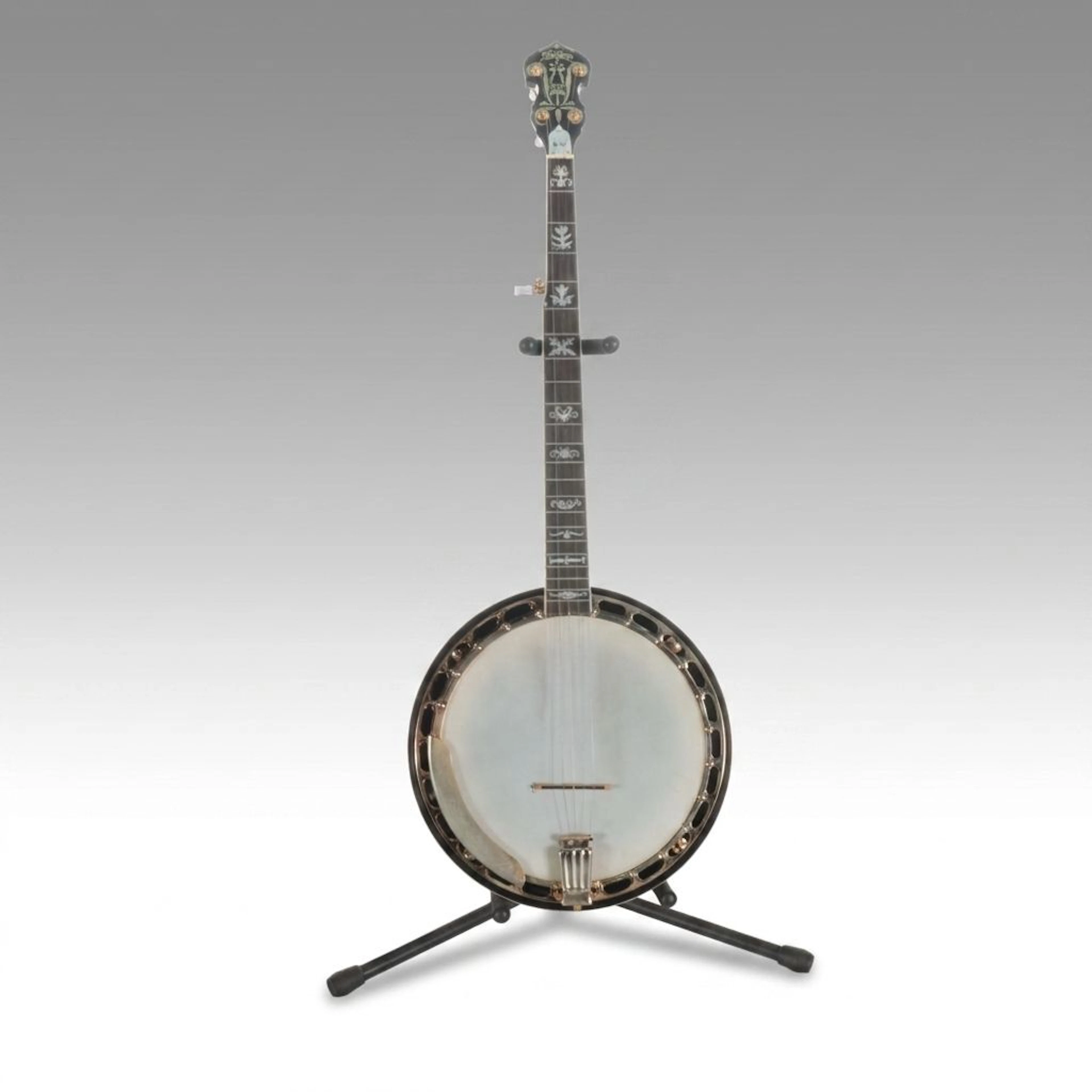 Washburn B-17 5-String Resonator Banjo with Case, 2003