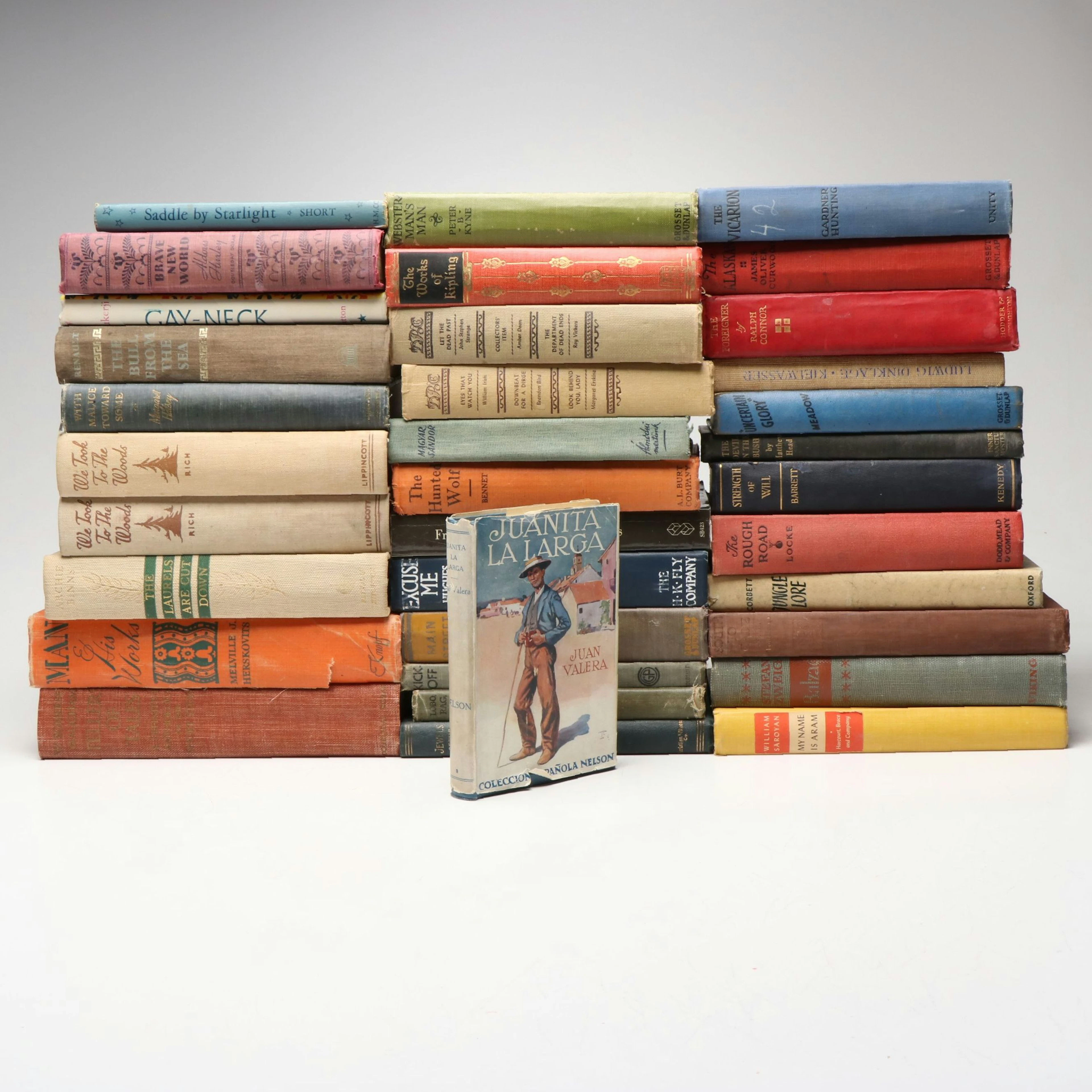 "Brave New World" by Aldous Huxley and More Books