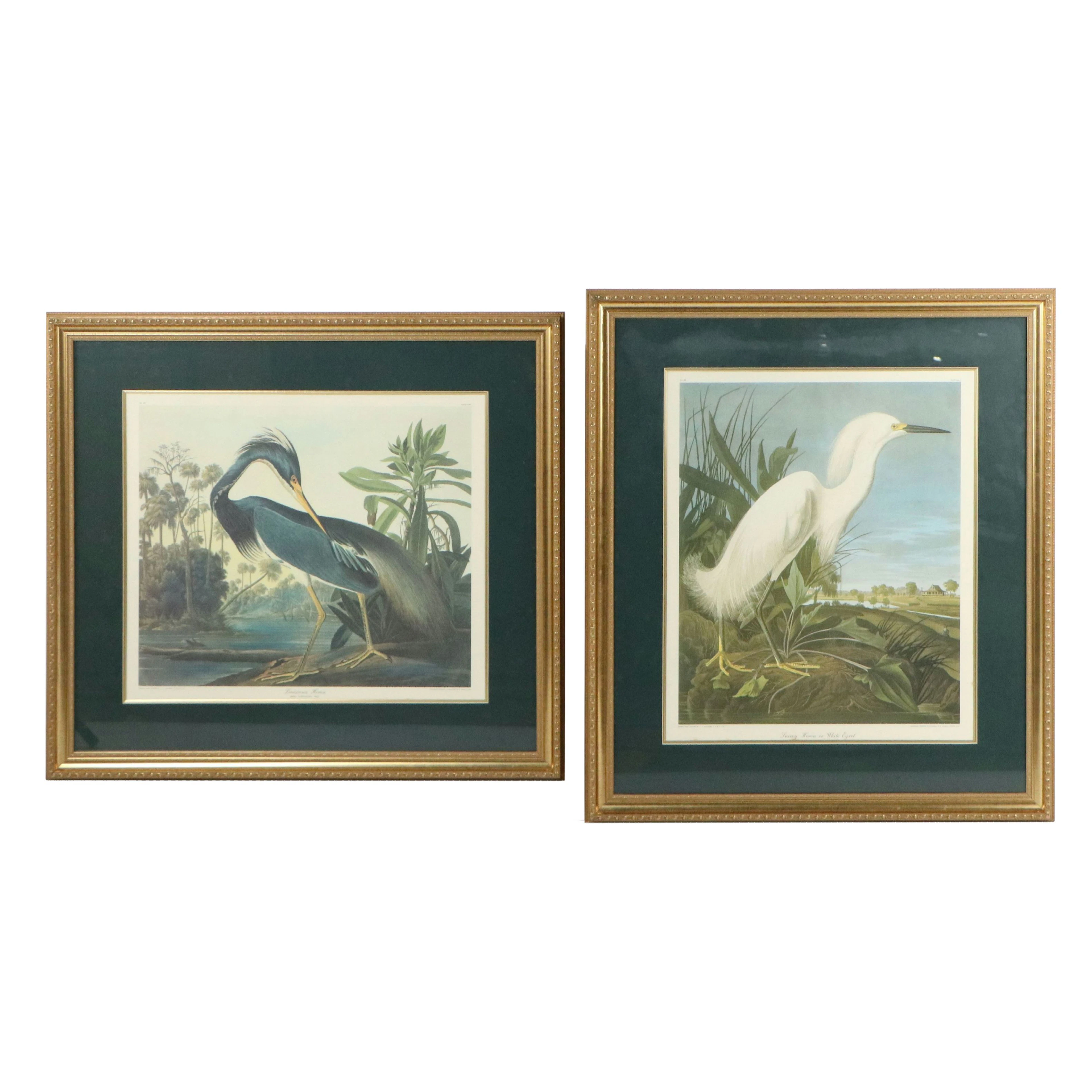 After John Audubon "Louisiana Heron" and "Snowy Heron" Offset Lithographs