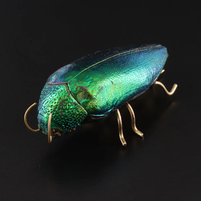 Elytra Jewel Beetle Brooch