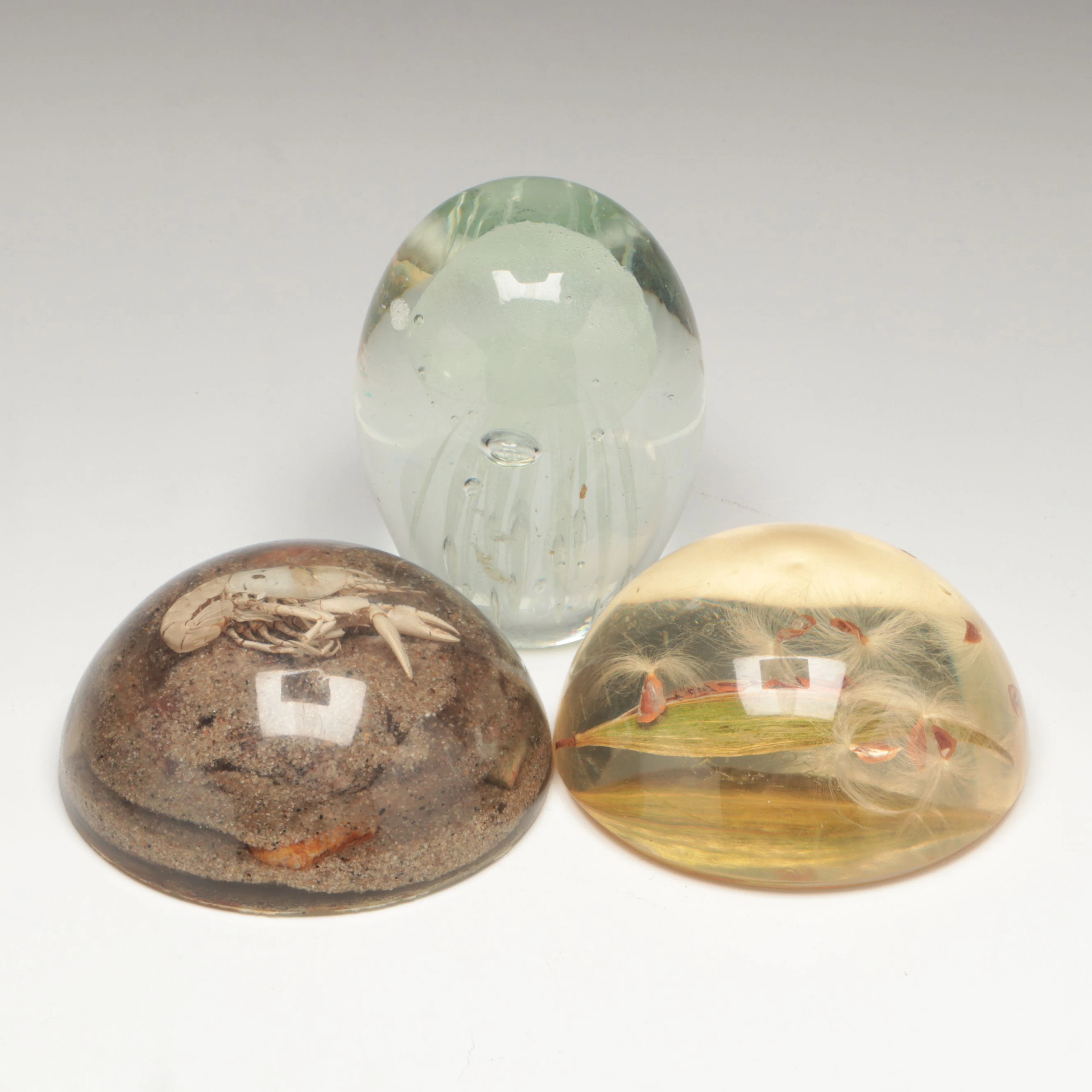 Seed Pod and Crayfish Taxidermy and Other Paperweights