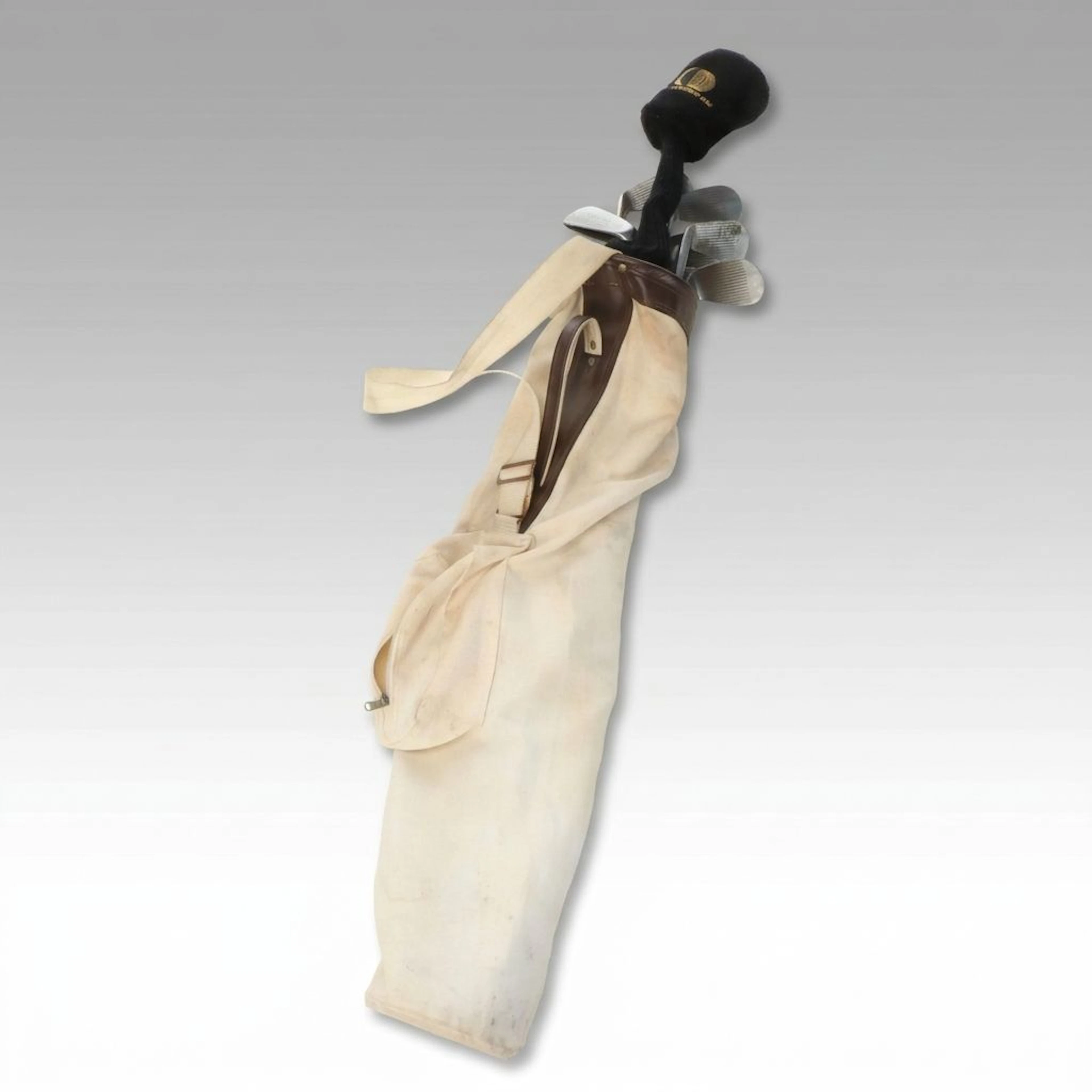 Spalding and More Vintage Golf Clubs with Canvas Bag